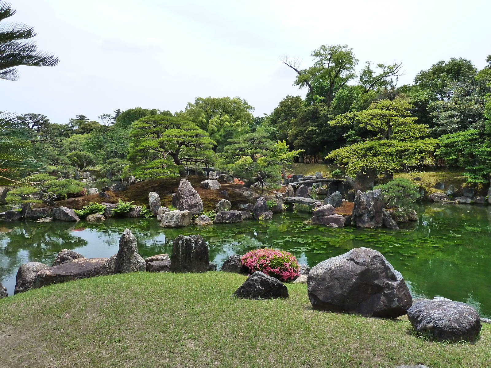 รูปถ่าย ญี่ปุ่น(Japan) เกียวโต(Kyoto) ปราสาทนิโจ(Nijo Castle) สวนนิโนมะรุ(Ninomaru Garden) 2010-06 9