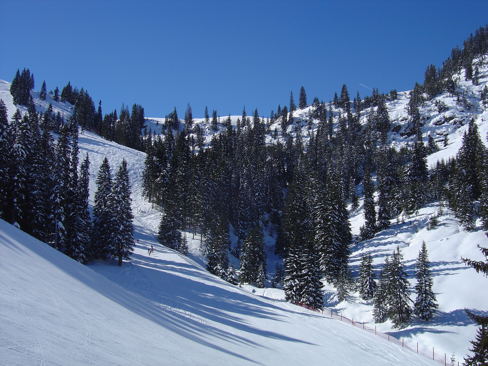 รูปถ่าย ออสเตรีย(Austria) คิทซ์บูเฮล(Kitzbuhel) สกี(Ski) 2005-03 62