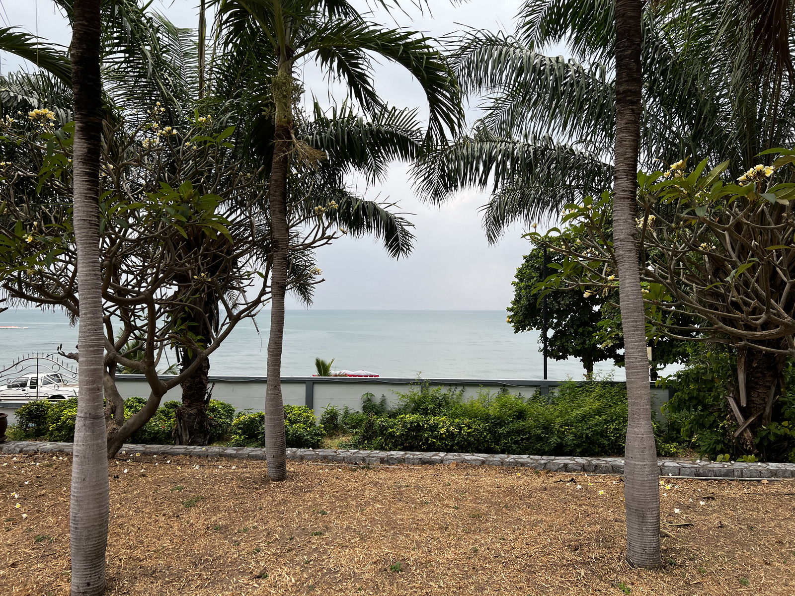 รูปถ่าย ไทย(Thailand) พัทยา(Pattaya) 2023-01 7