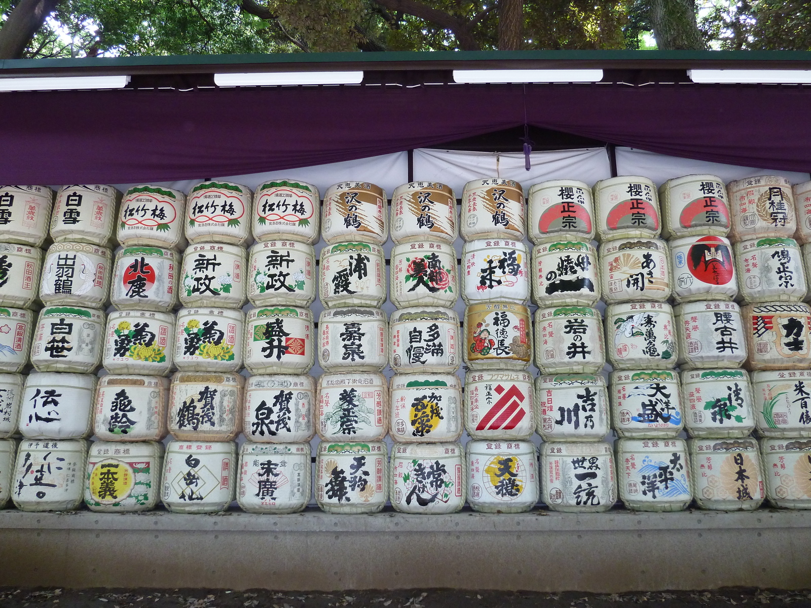 รูปถ่าย ญี่ปุ่น(Japan) 2010-06 52