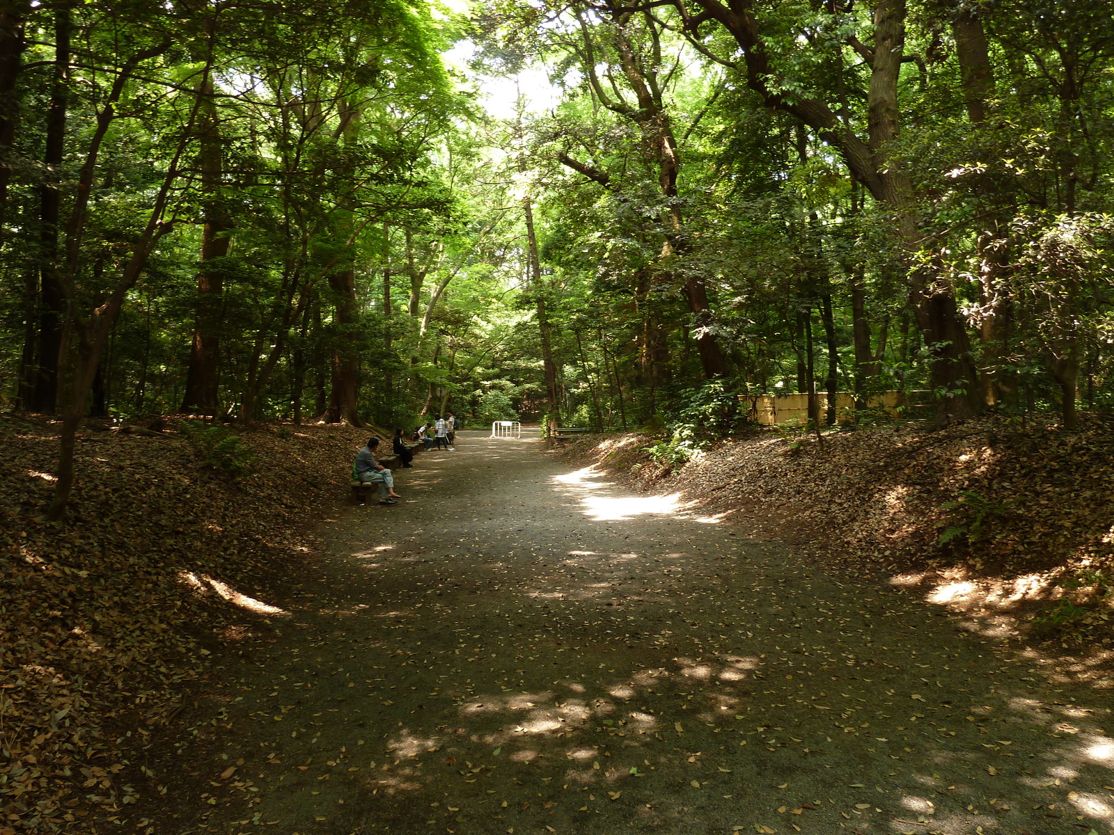 รูปถ่าย ญี่ปุ่น(Japan) โตเกียว(Tokyo) สวนโยโยงิ(Yoyogi Park) 2010-06 16