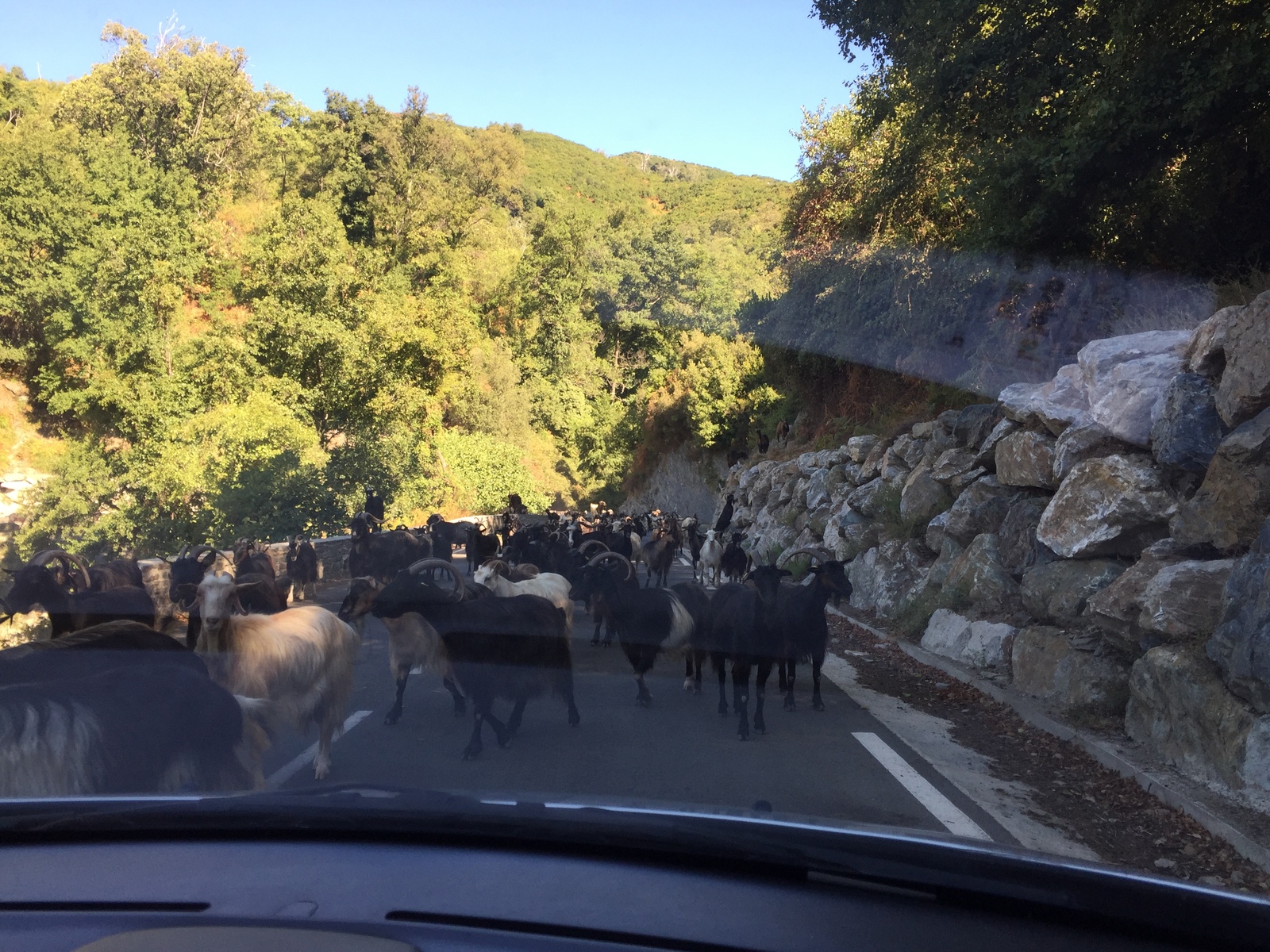 รูปถ่าย ฝรั่งเศส(France) คอร์สิคา(Corsica) เฟลเช(Felce) 2017-09 7