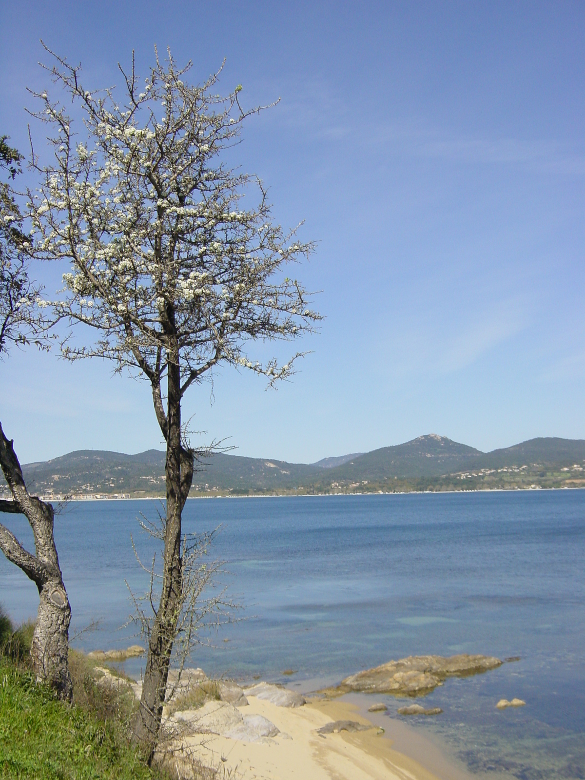 รูปถ่าย ฝรั่งเศส(France) แซ็งต์-ทรอเป(Saint Tropez) 2002-03 62