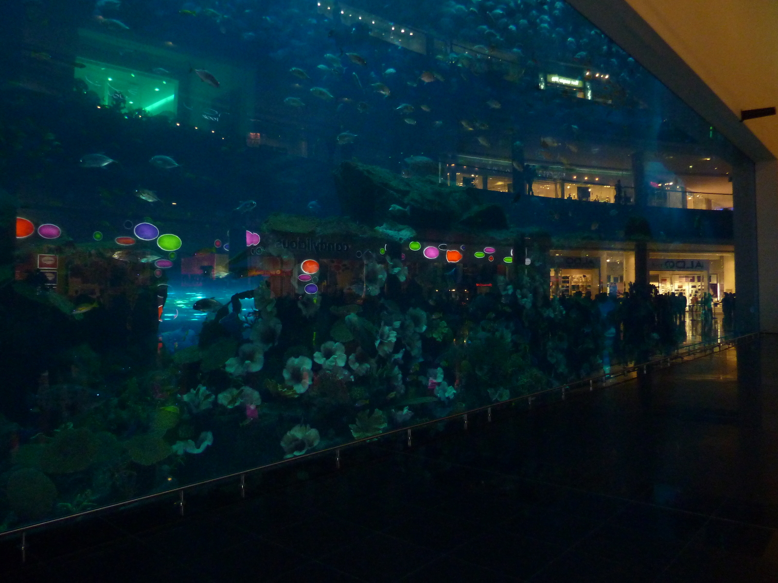 รูปถ่าย สหรัฐอาหรับเอมิเรตส์(United Arab Emirates) ดูไบ(Dubai) ดูไบมอลล์(The Dubai Mall) 2009-12 15