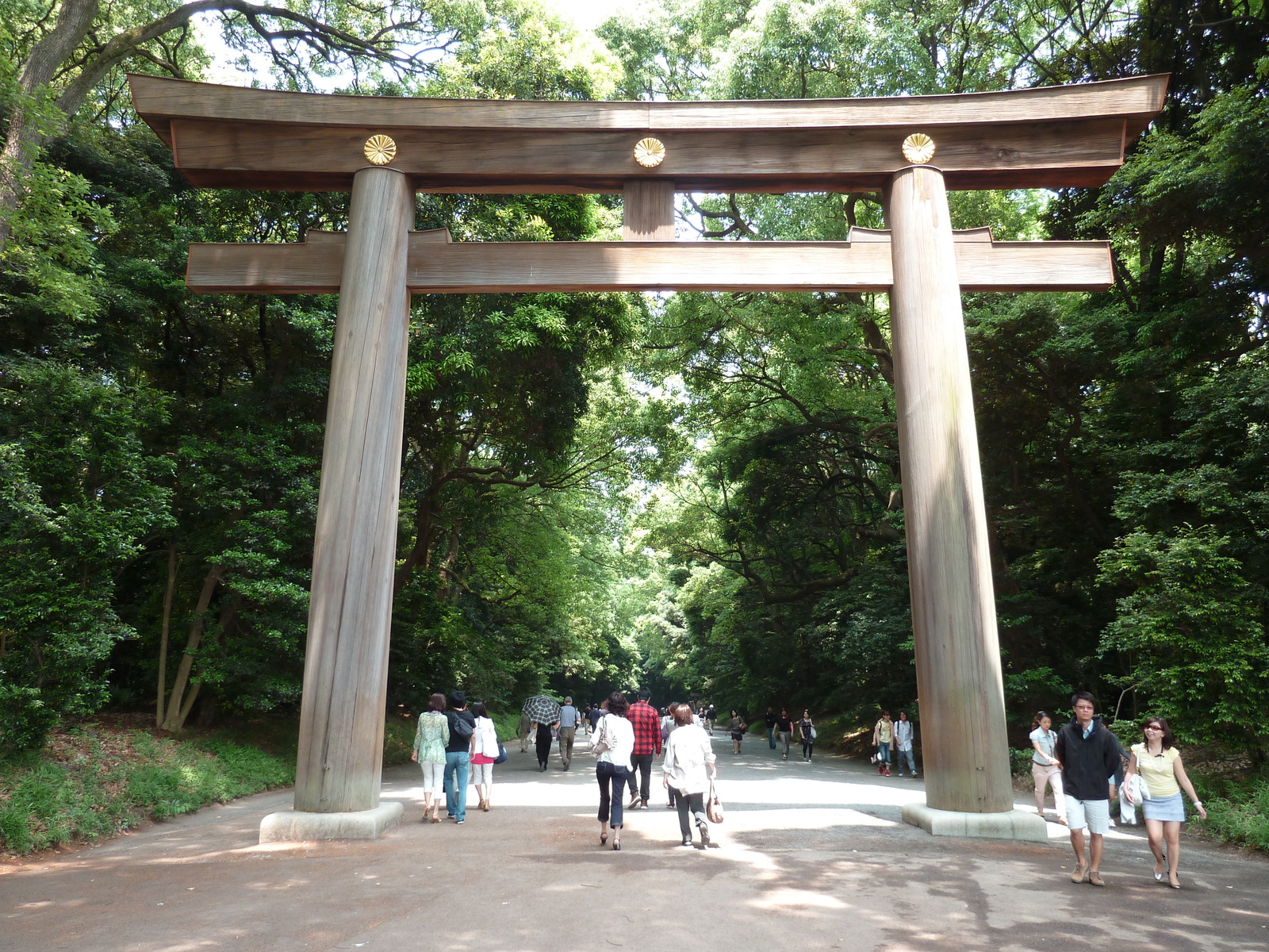 รูปถ่าย ญี่ปุ่น(Japan) 2010-06 35