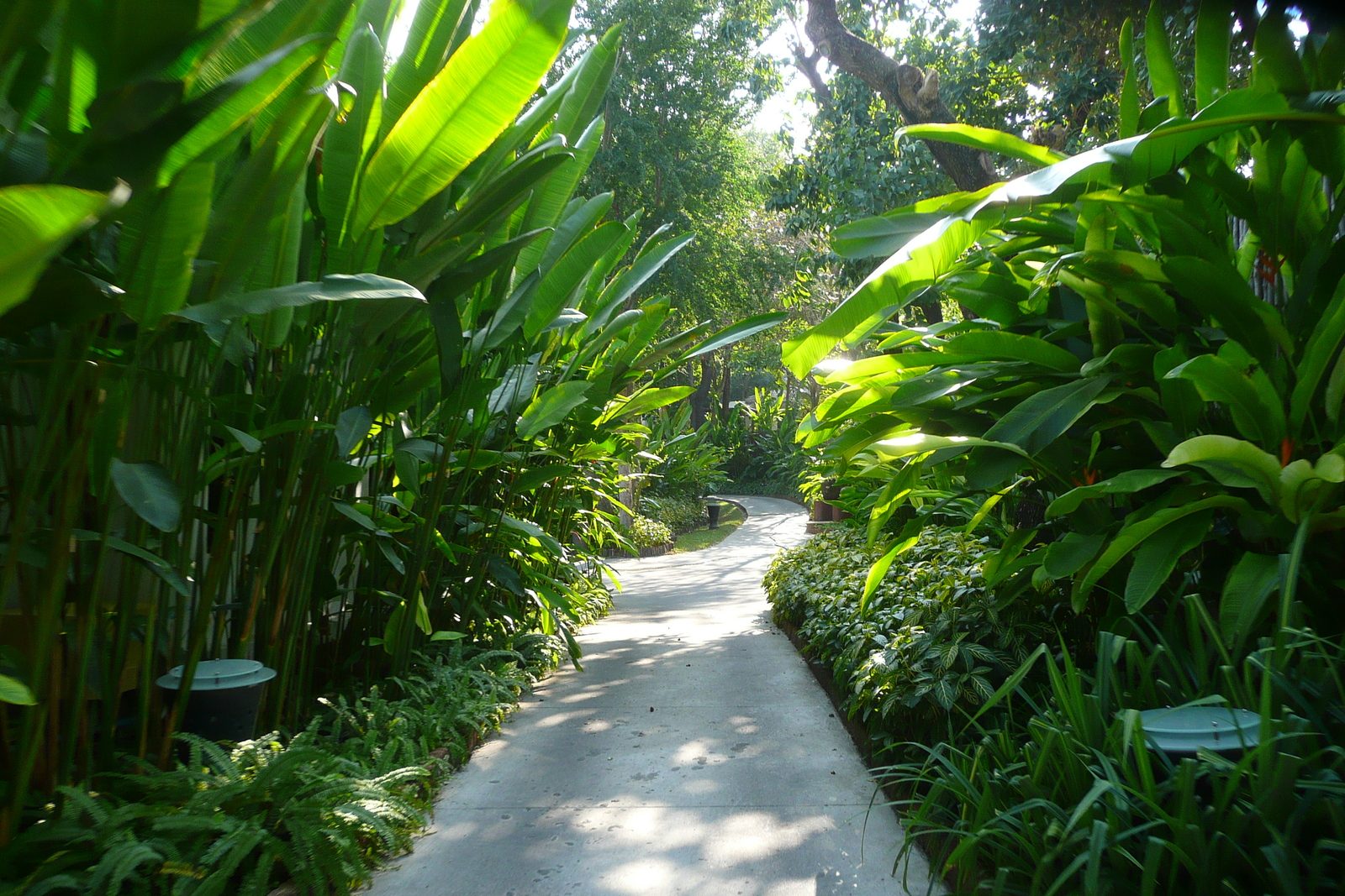 รูปถ่าย ไทย(Thailand) เกาะเสม็ด(Ko Samet) เลอวิมาน คอทเทจ แอนด์ สปา(Le Vimarn Cottage and Spa) 2009-01 10