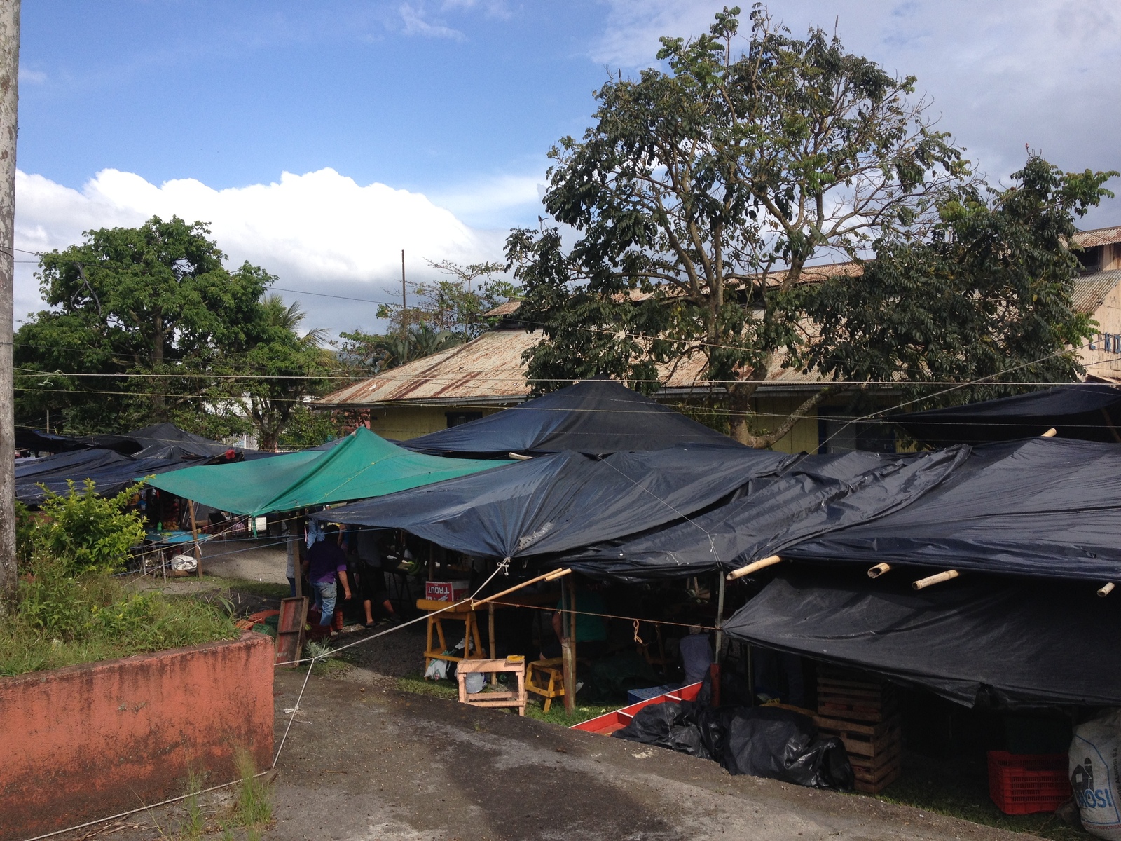 รูปถ่าย คอสตาริกา(Costa Rica) ตูร์รีอัลบา(Turrialba) 2015-03 27