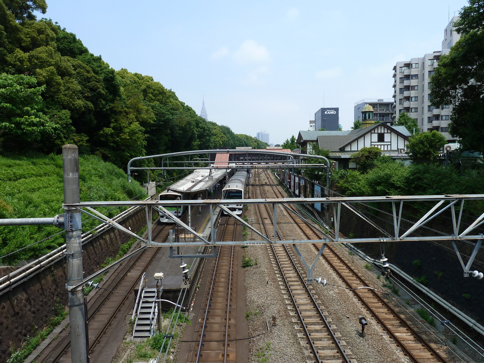 รูปถ่าย ญี่ปุ่น(Japan) โตเกียว(Tokyo) สวนโยโยงิ(Yoyogi Park) 2010-06 3