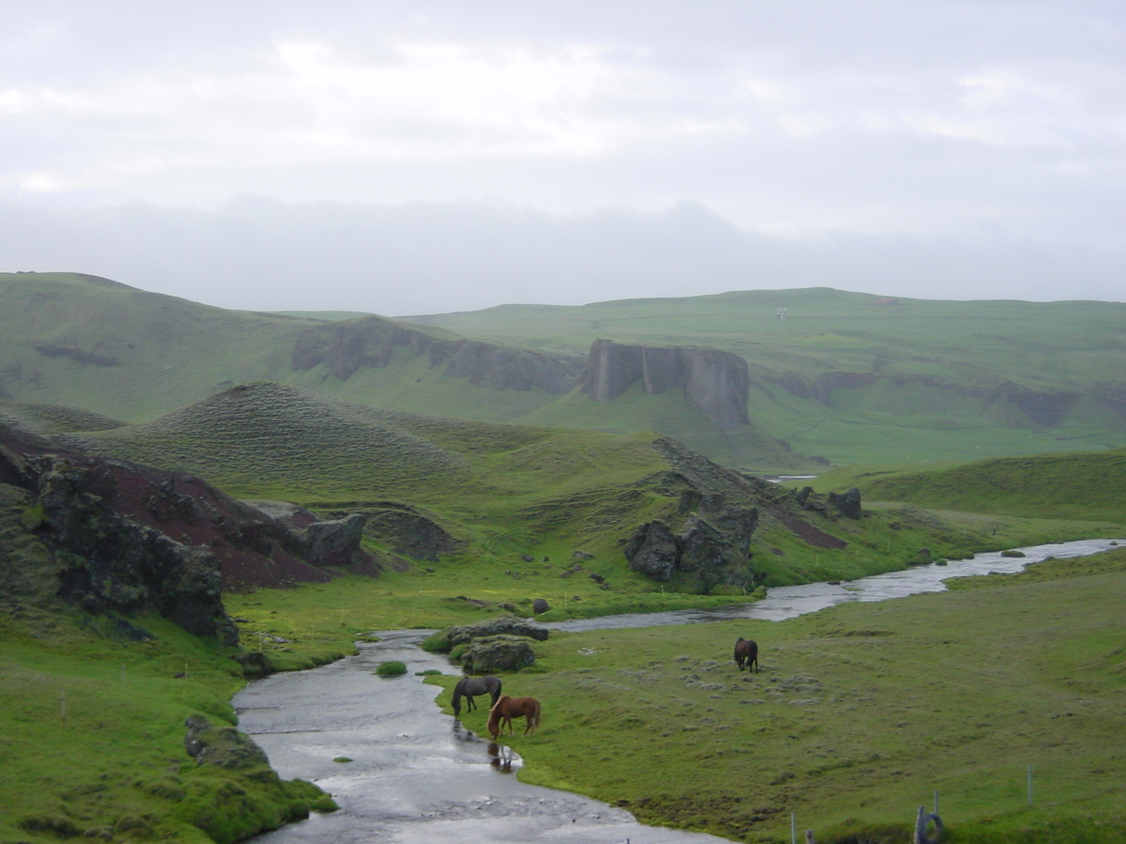 รูปถ่าย ไอซ์แลนด์(Iceland) ถนนหมายเลข 1 จากโยกุลซาร์เลานไปวีก(Road 1 Jokulsarlon to vik) 2003-06 13