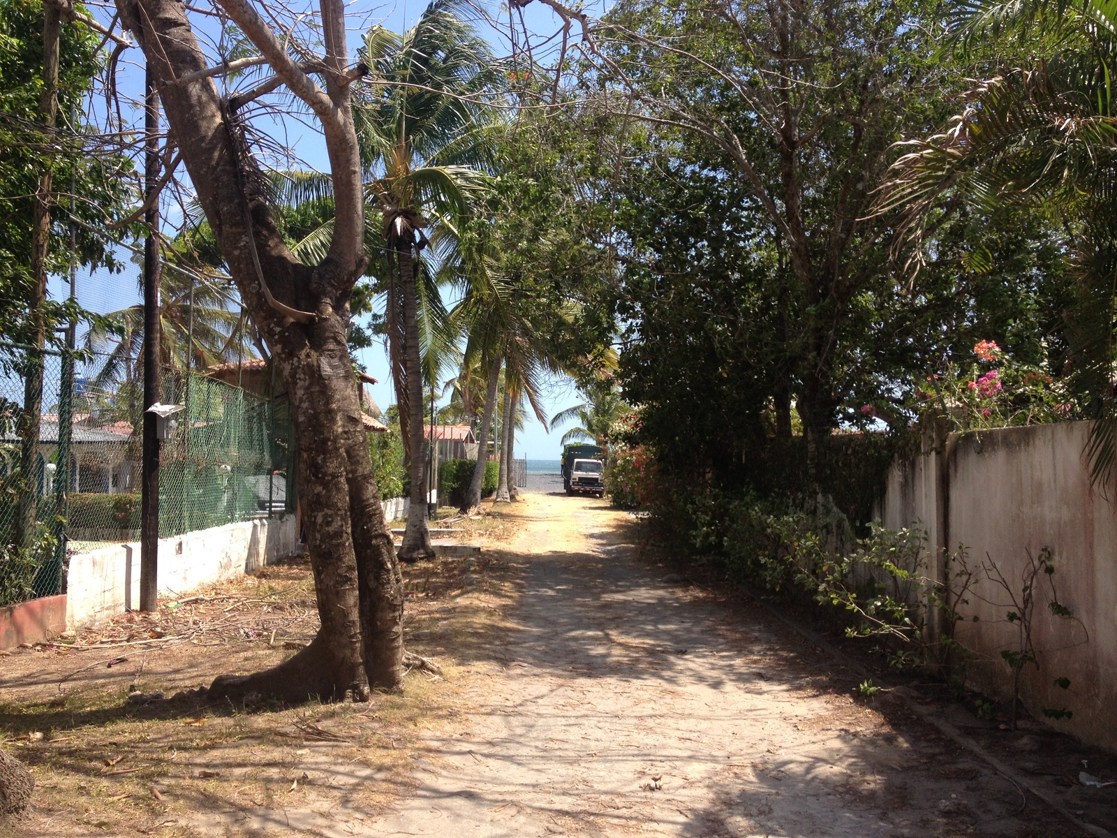 รูปถ่าย ปานามา(Panama) ซานการ์โลส(San Carlos) 2015-03 50
