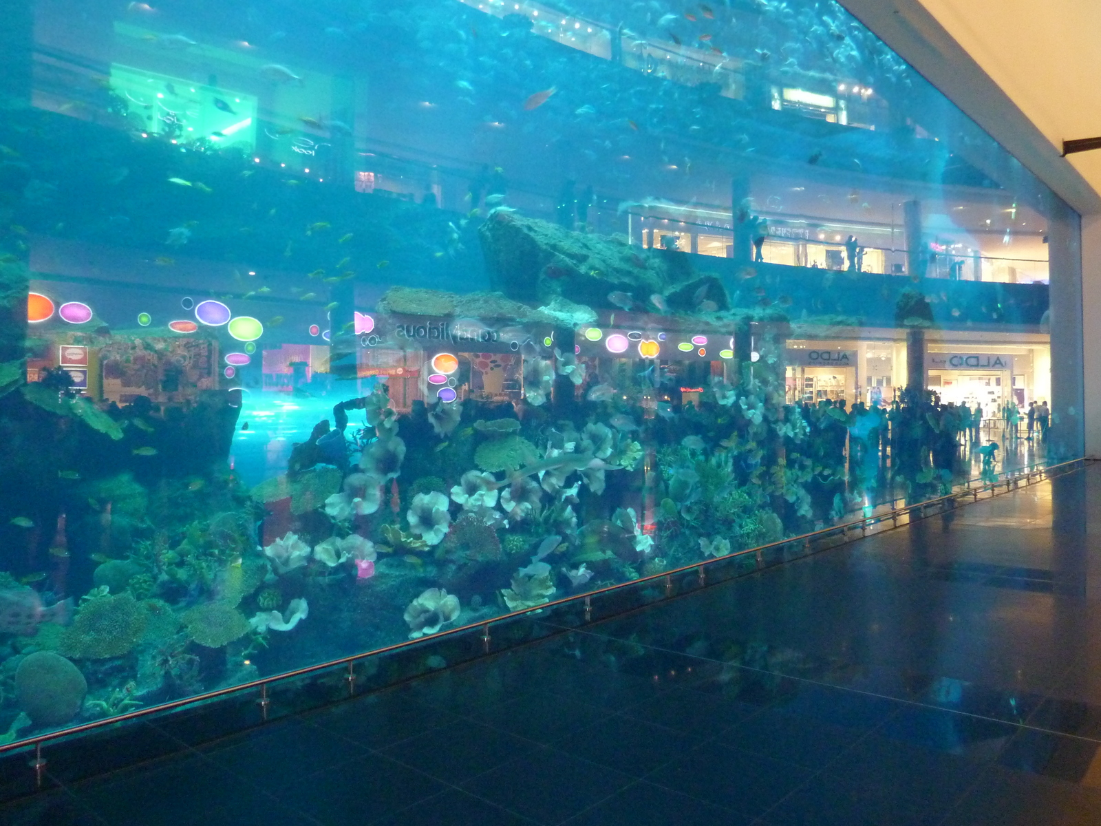 รูปถ่าย สหรัฐอาหรับเอมิเรตส์(United Arab Emirates) ดูไบ(Dubai) ดูไบมอลล์(The Dubai Mall) 2009-12 5