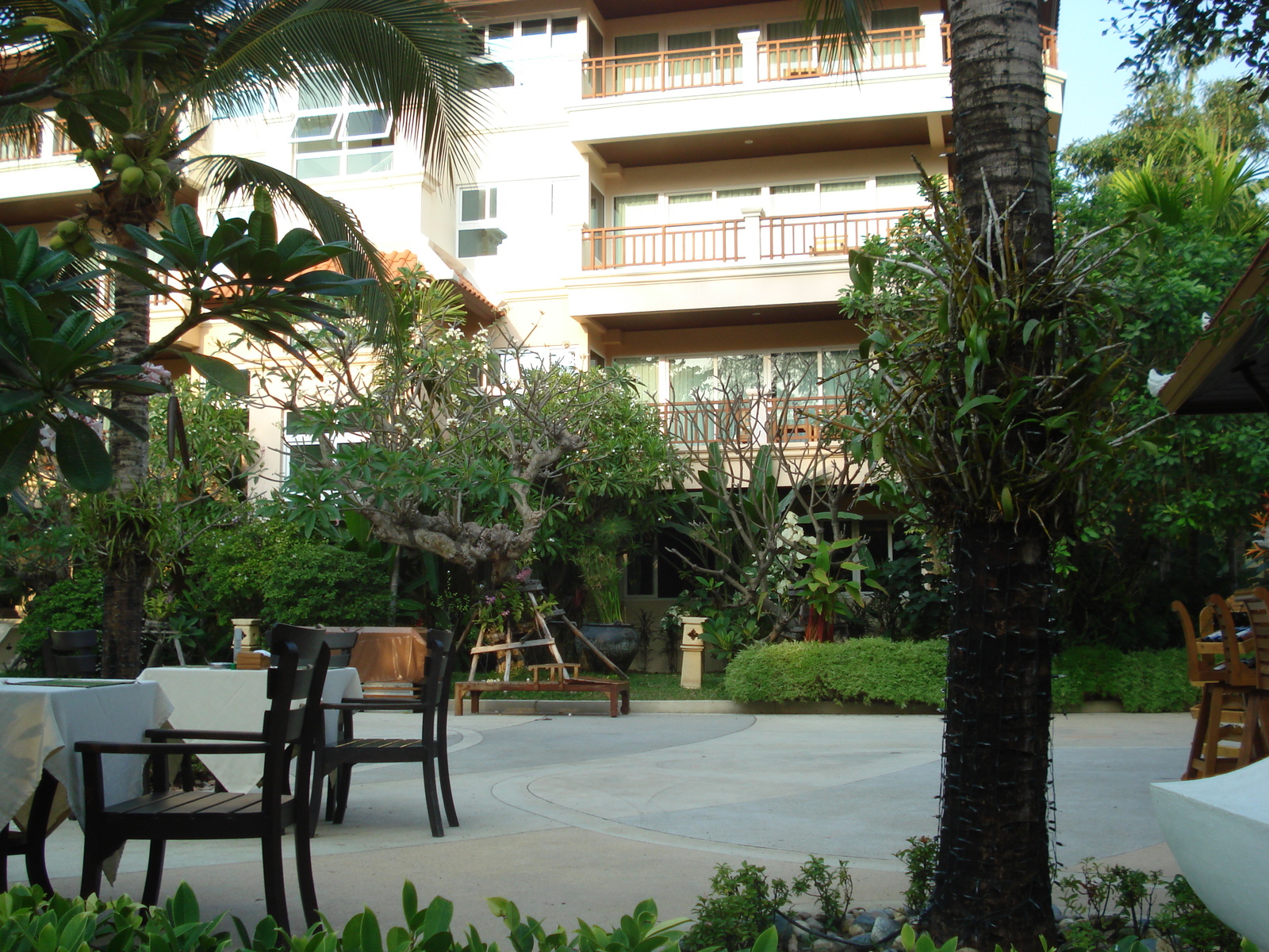 รูปถ่าย ไทย(Thailand) พัทยา(Pattaya) หาดดงตาล(Dongtan beach) 2008-01 36