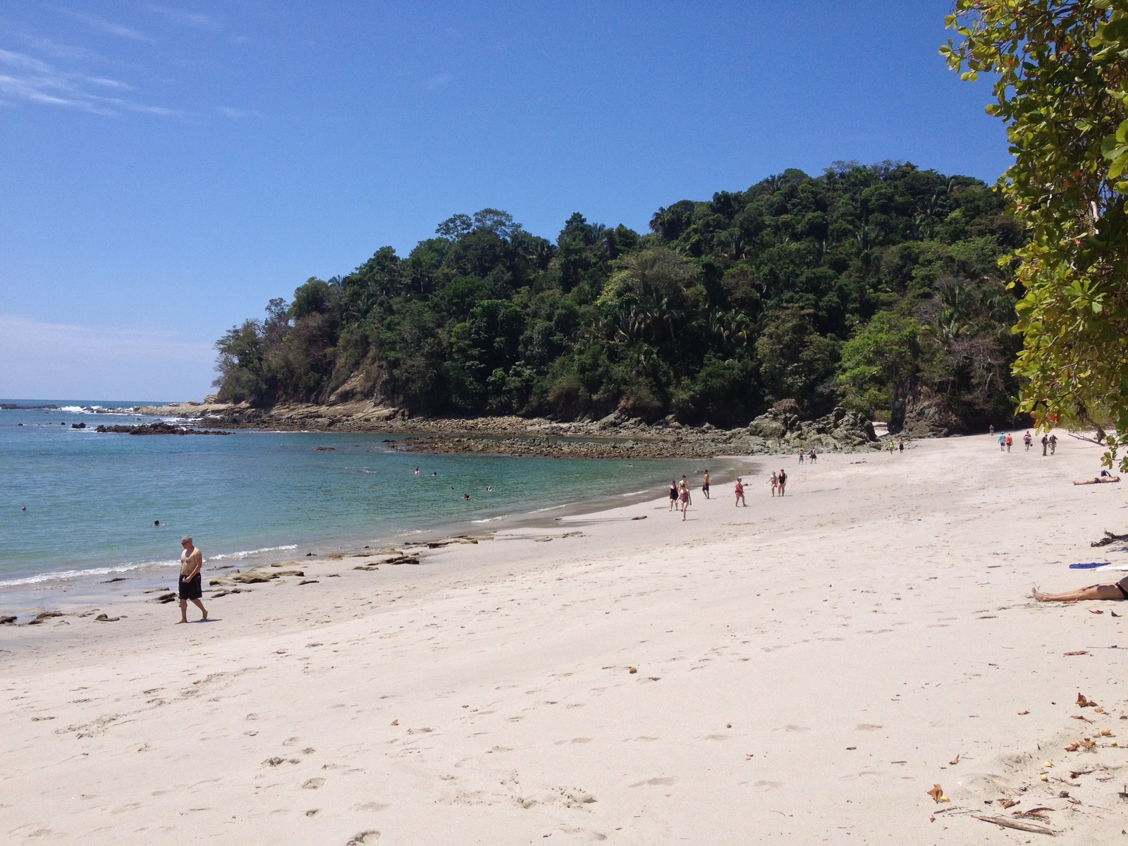 รูปถ่าย คอสตาริกา(Costa Rica) มานวยล์อันโตนีโอ(Manuel Antonio) 2015-03 215