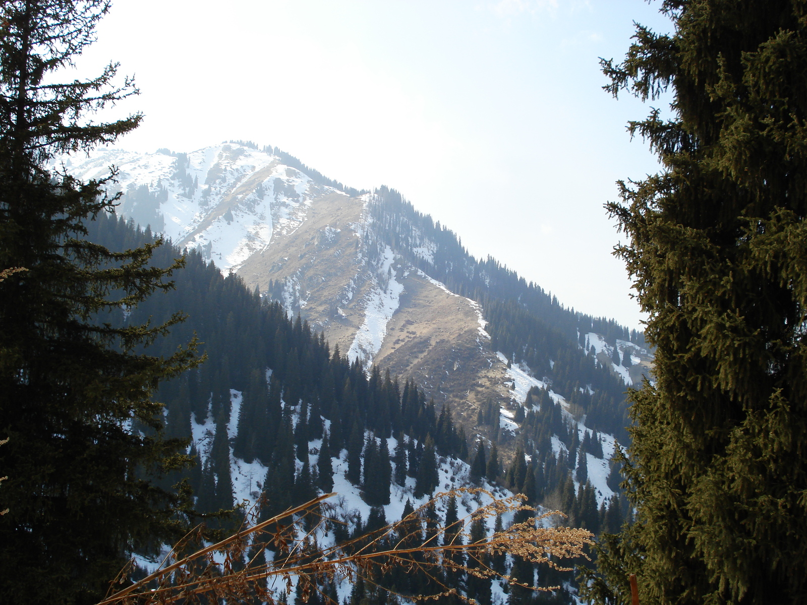 รูปถ่าย คาซัคสถาน(Kazakhstan) ซิมบูแลค(Shymbulak) 2007-03 53