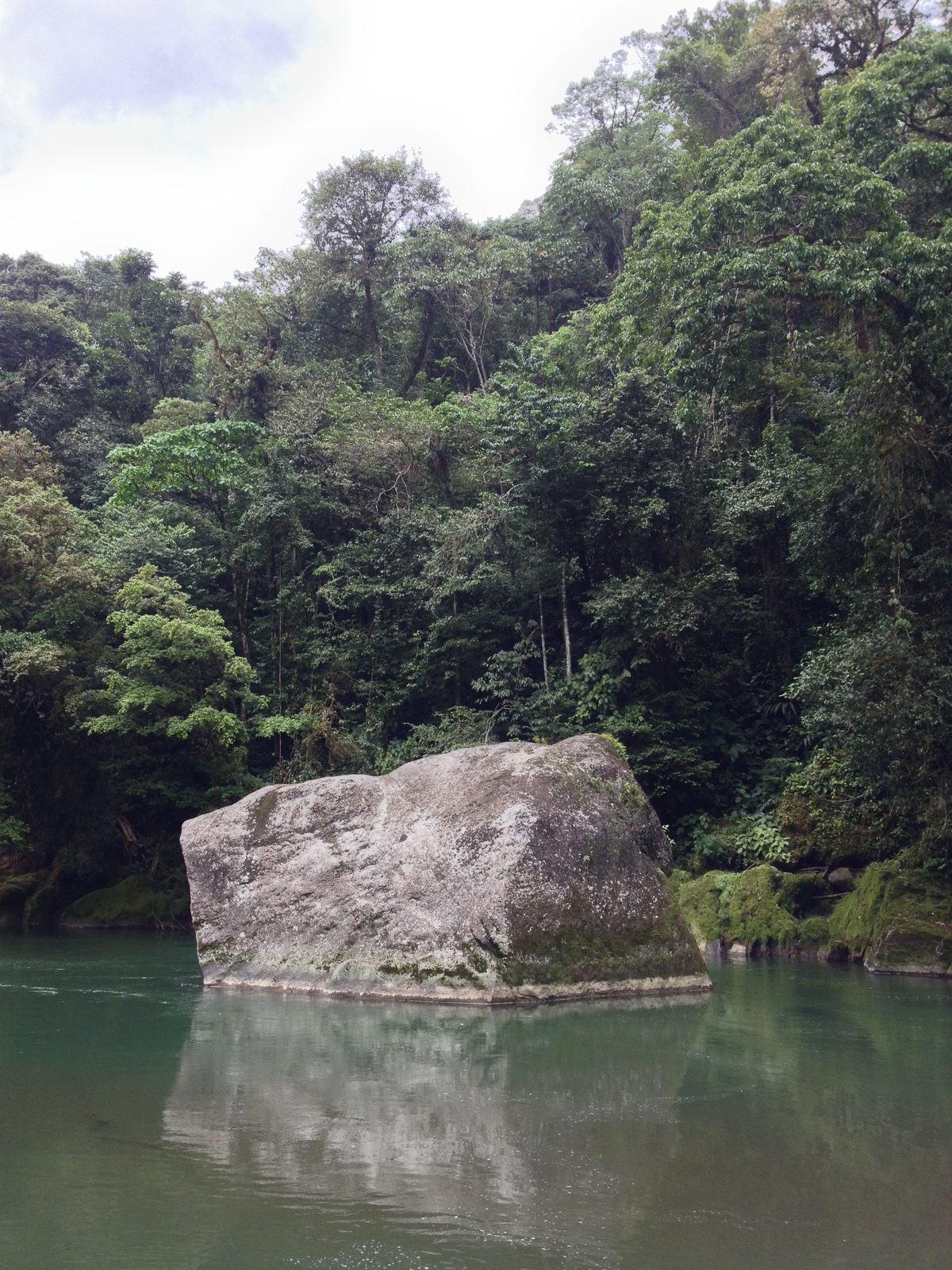 รูปถ่าย คอสตาริกา(Costa Rica) แม่น้ำปากัวเร(Pacuare River) 2015-03 268