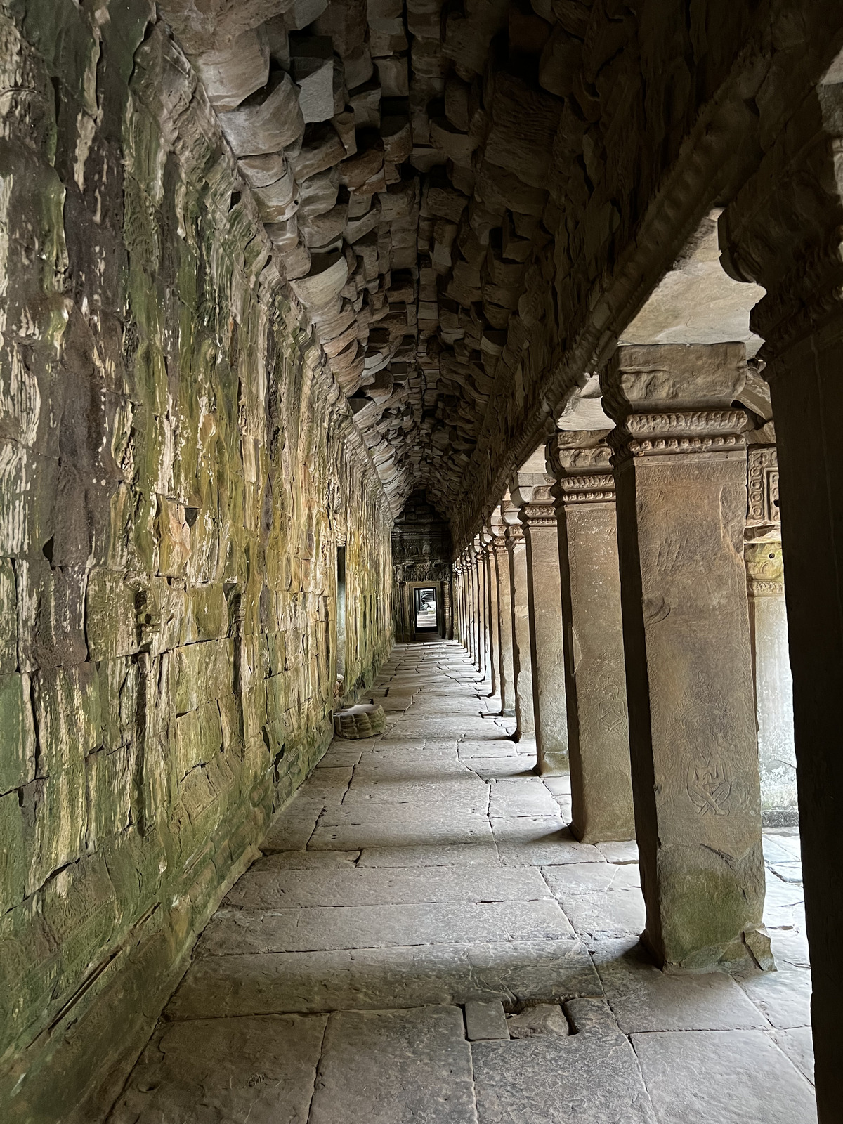 รูปถ่าย กัมพูชา(Cambodia) เสียมราฐ(Siem Reap) ปราสาทตาพรหม(Ta Prohm) 2023-01 120