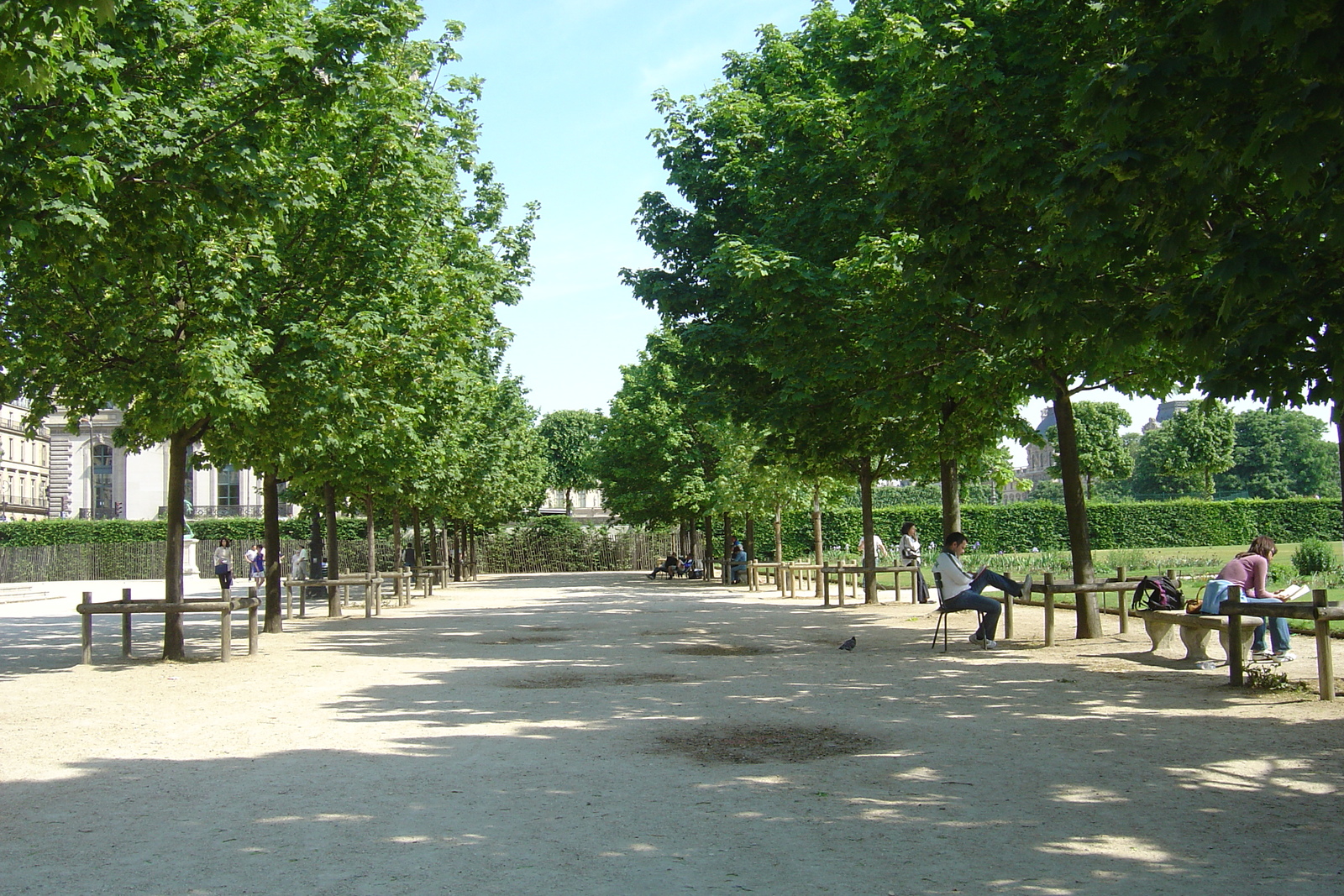 รูปถ่าย ฝรั่งเศส(France) ปารีส(Paris) สวนตุยเลอรี(Garden of Tuileries) 2007-05 19