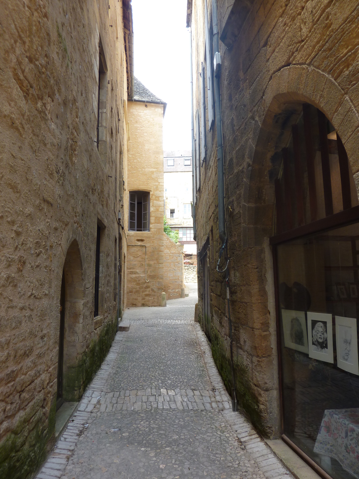 รูปถ่าย ฝรั่งเศส(France) ซาร์ลา-ลา-กาเนดา(Sarlat la Caneda) 2009-07 22