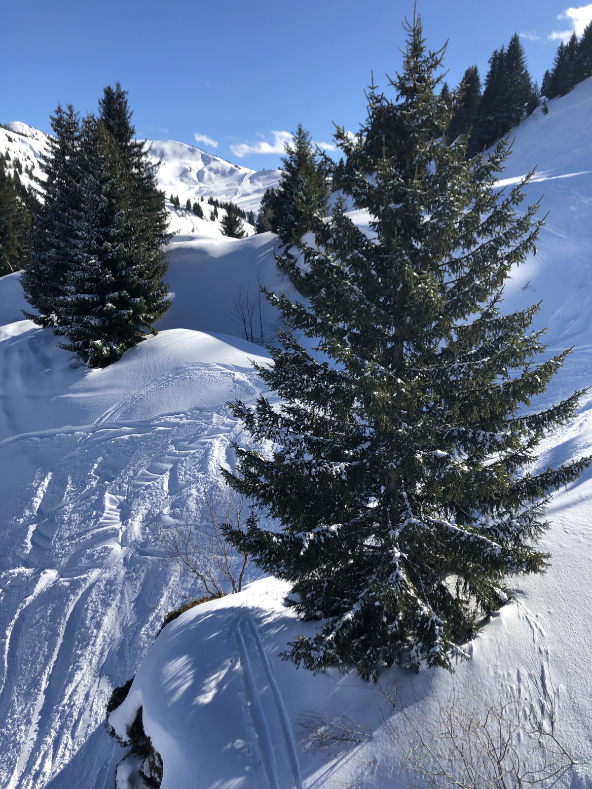 รูปถ่าย ฝรั่งเศส(France) เมแฌฟว์(Megeve) 2019-03 28