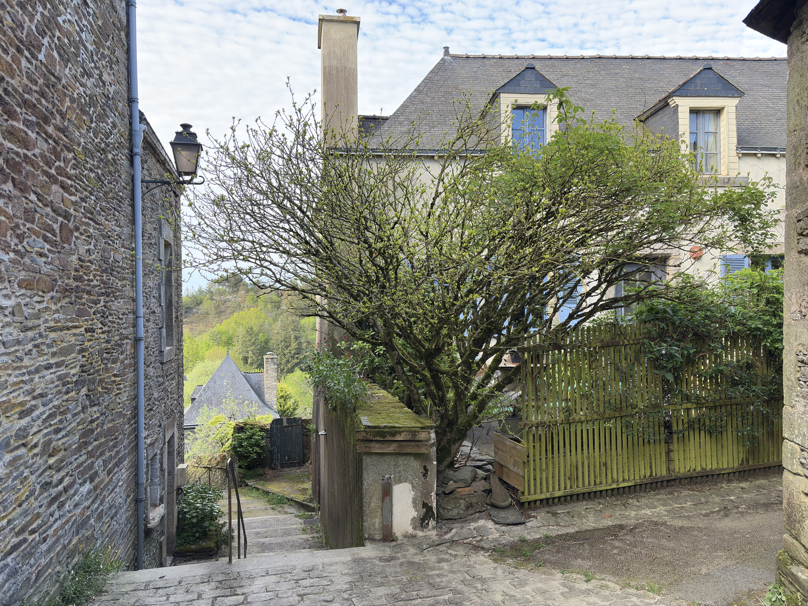 รูปถ่าย ฝรั่งเศส(France) รอชฟอร์-อ็อง-แตร์(Rochefort en terre) 2026-04 62