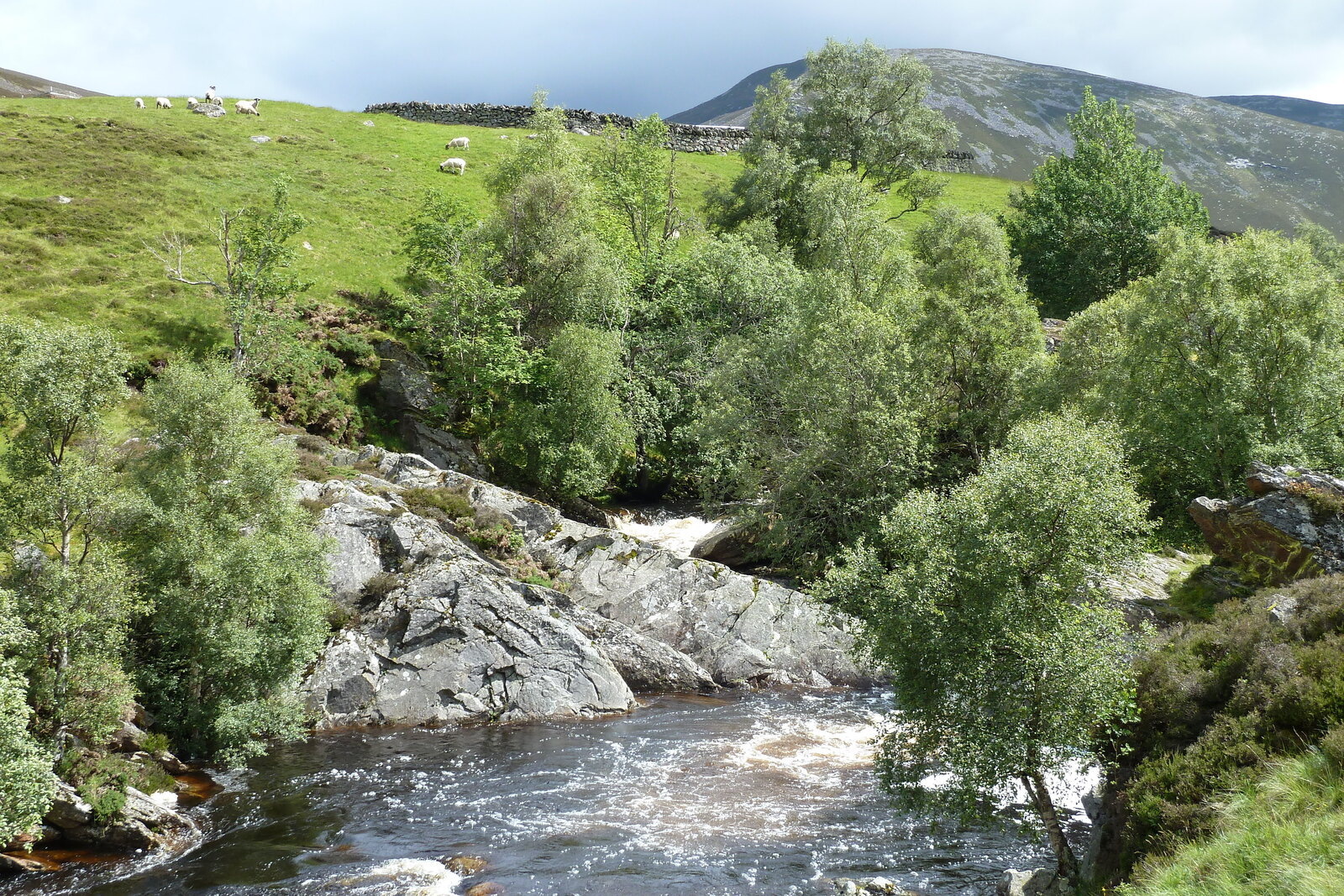 รูปถ่าย อังกฤษ(United Kingdom) อุทยานแห่งชาติแคร์นกอร์มส์(Cairngorms National Park) 2011-07 113