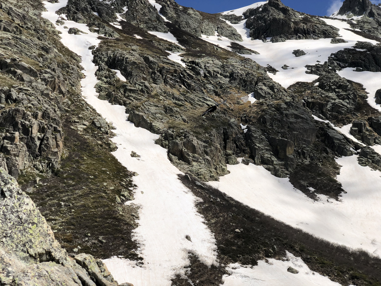 รูปถ่าย ฝรั่งเศส(France) คอร์สิคา(Corsica) ทะเลสาบเมโลและกาปีเตลโล(Lac de Melo et Capitello) 2021-06 166