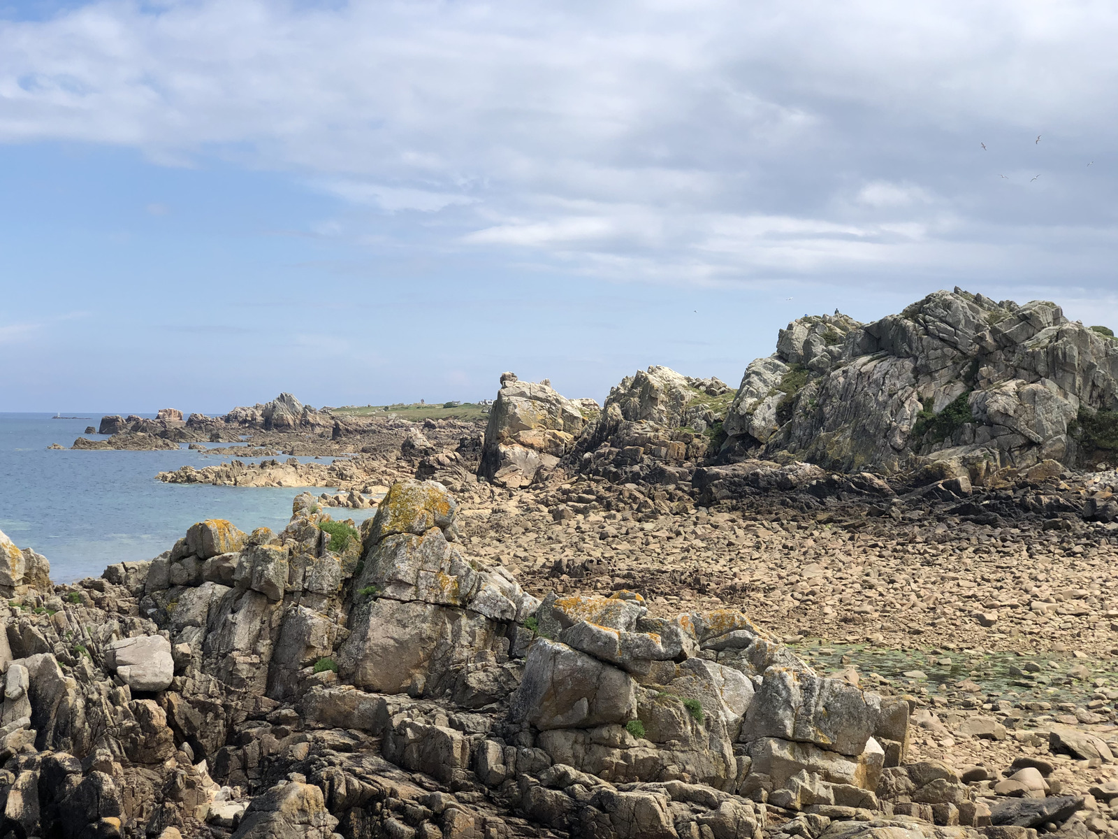 รูปถ่าย ฝรั่งเศส(France) เกาะเบรอา(Brehat Island) 2020-06 131