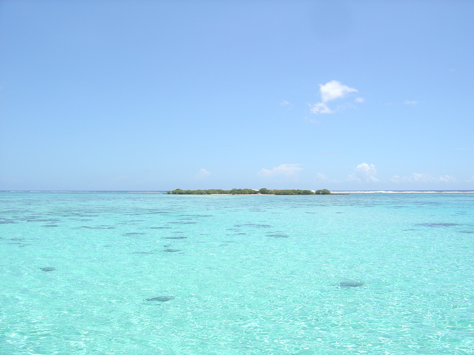 รูปถ่าย เฟรนช์โพลี่นีเซีย(Polynesia) มูเรีย(Moorea) 2006-04 153