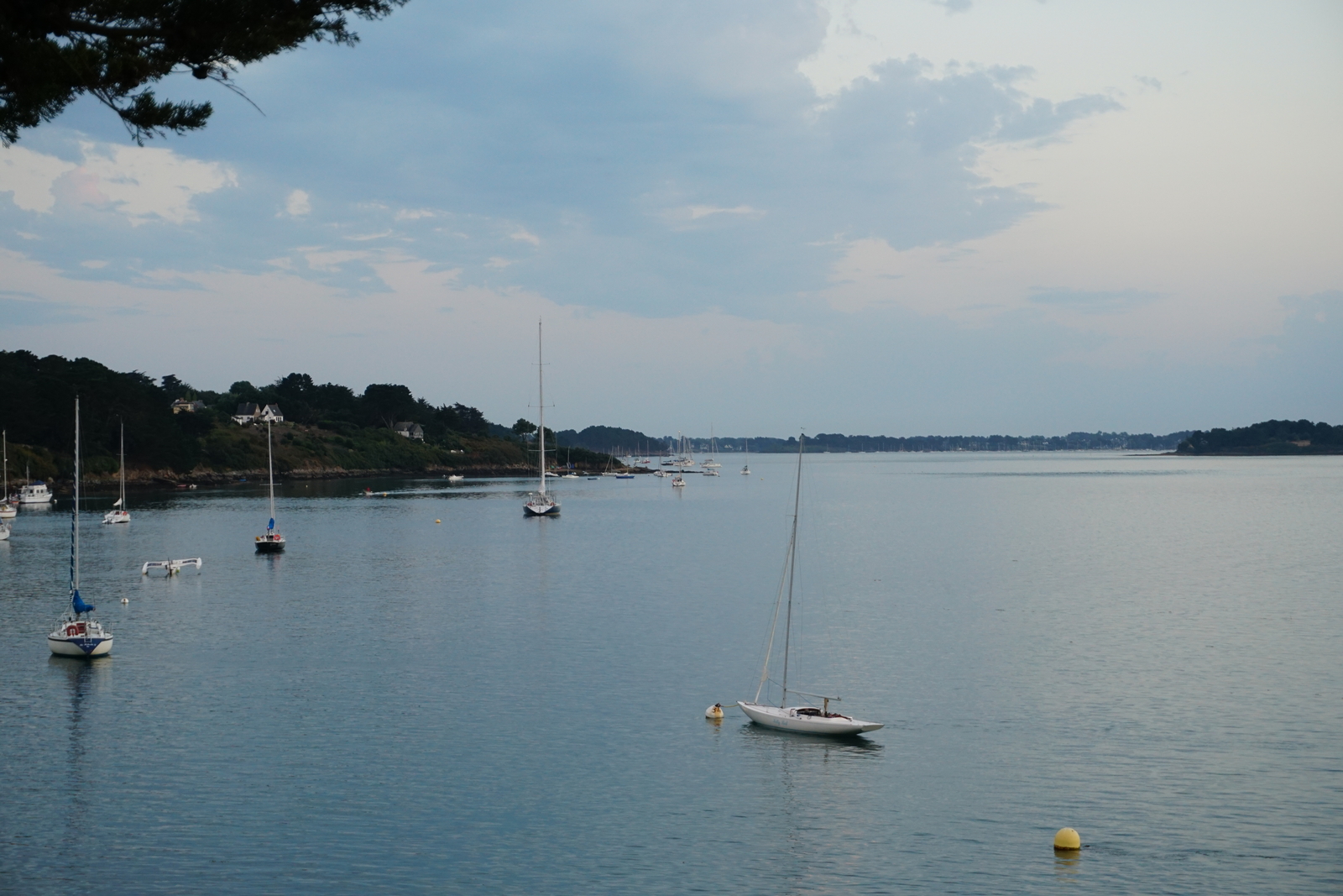รูปถ่าย ฝรั่งเศส(France) เกาะโอมวน(Ile-aux-Moines) 2016-08 0