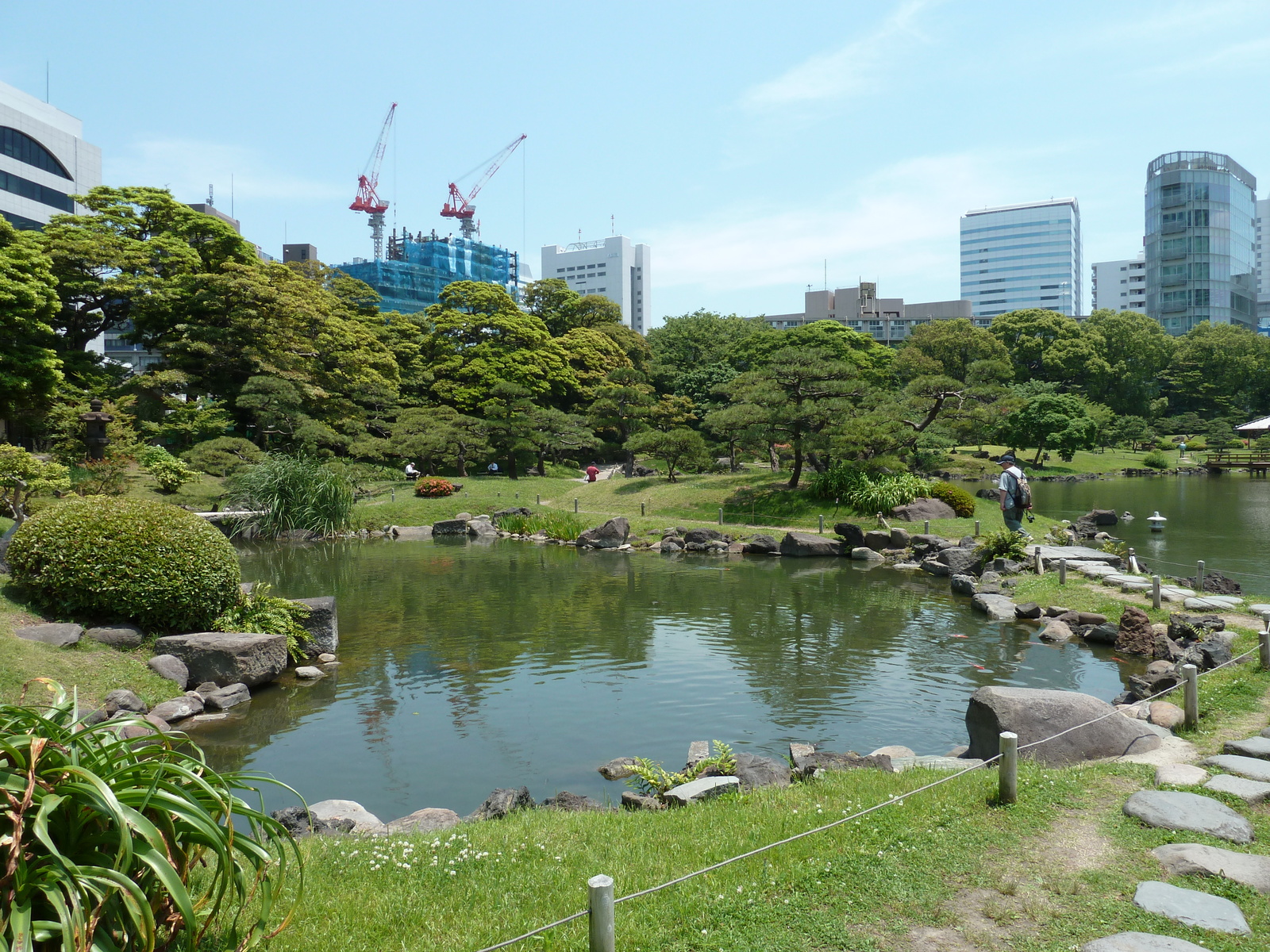 รูปถ่าย ญี่ปุ่น(Japan) โตเกียว(Tokyo) สวนคิวชิบะริคิว(Kyu Shiba rikyu Gardens) 2010-06 9