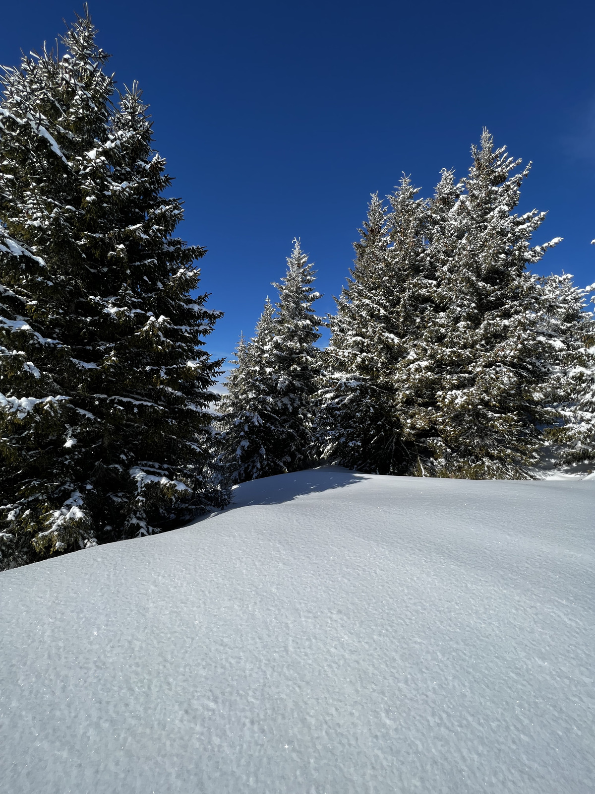 รูปถ่าย ฝรั่งเศส(France) เมแฌฟว์(Megeve) 2022-02 26
