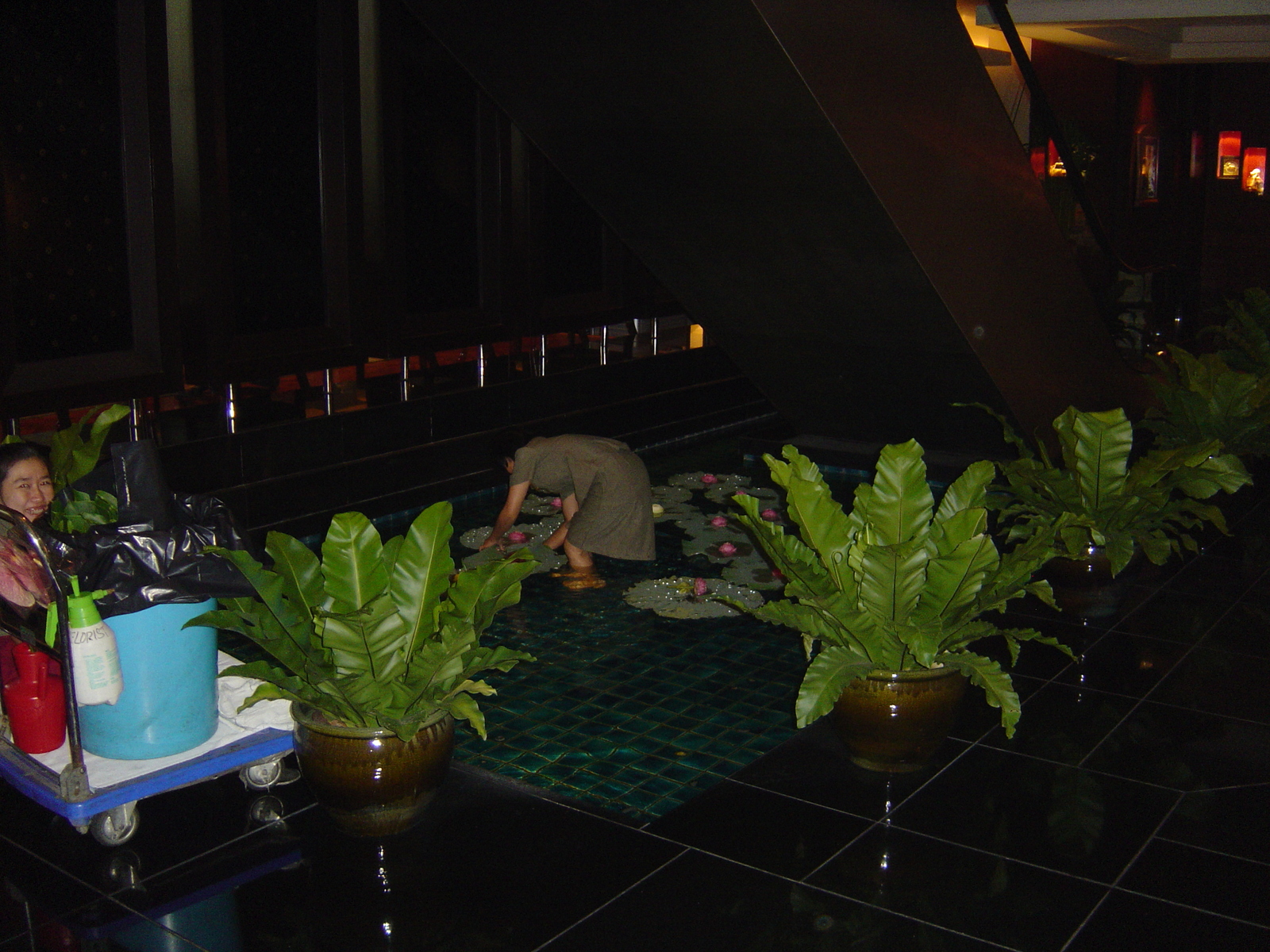 รูปถ่าย ไทย(Thailand) กรุงเทพมหานคร(Bangkok) โรงแรมเจดับบลิว แมริออท(JW Marriott Hotel) 2005-11 6