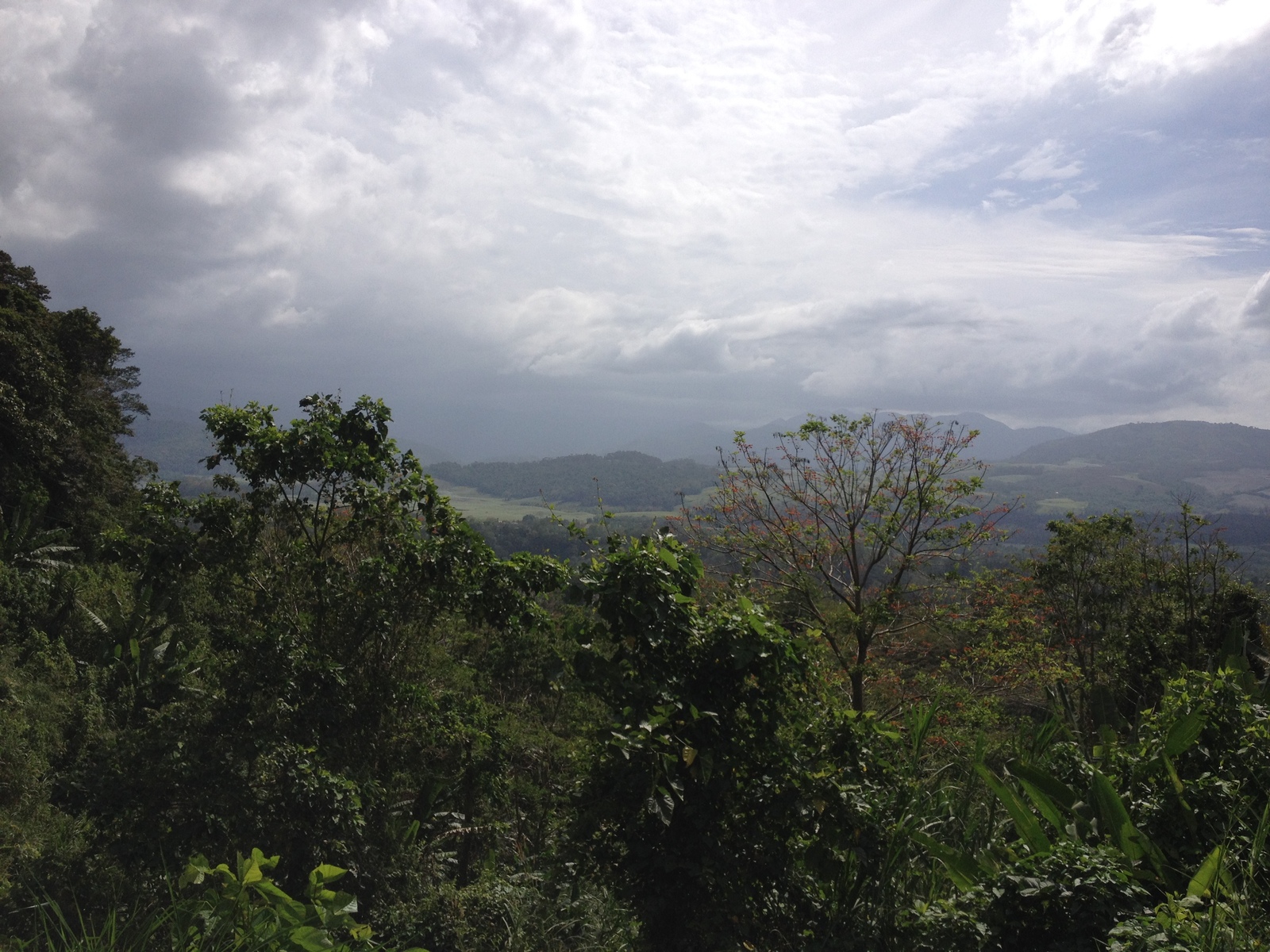รูปถ่าย คอสตาริกา(Costa Rica) ตูร์รีอัลบา(Turrialba) 2015-03 35
