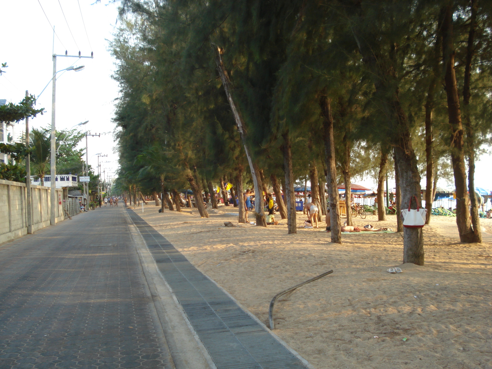 รูปถ่าย ไทย(Thailand) พัทยา(Pattaya) หาดดงตาล(Dongtan beach) 2008-01 27