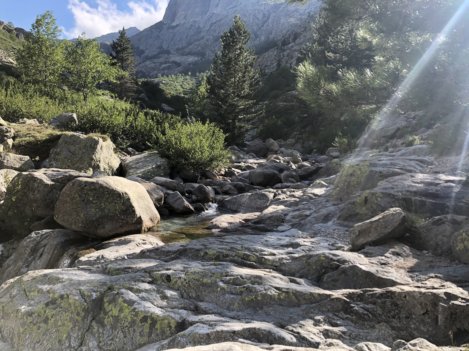 รูปถ่าย ฝรั่งเศส(France) คอร์สิคา(Corsica) หุบเขาลาเรสโตนีกา(La Restonica) 2020-07 106