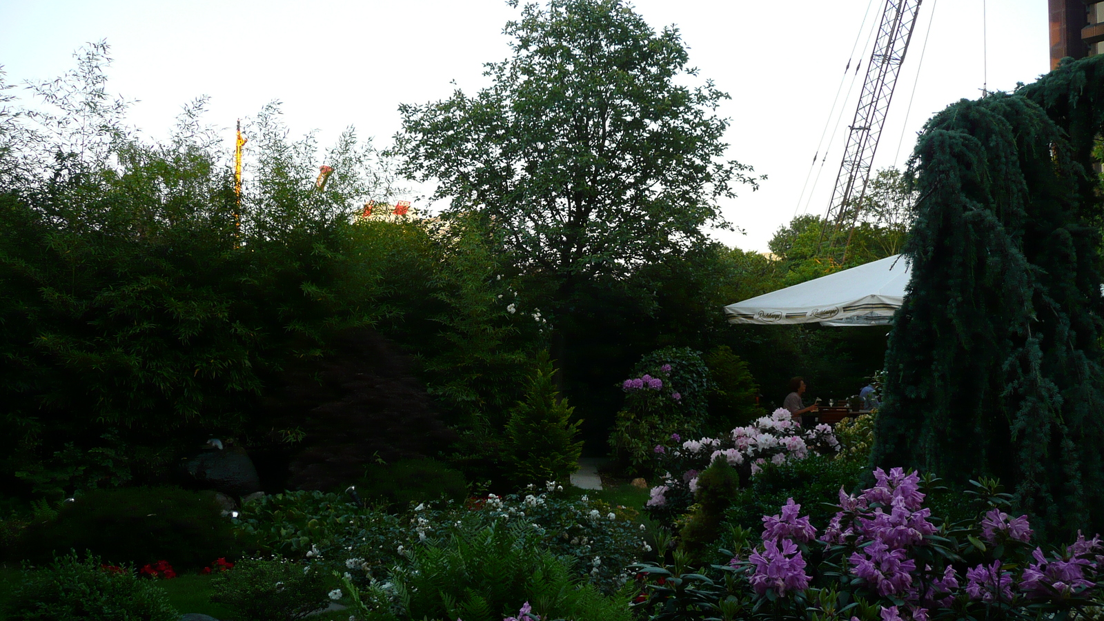 รูปถ่าย เยอรมนี(Germany) ดัสเซลดอร์ฟ(Dusseldorf) โรงแรมแรดิสัน(Radisson Hotel) 2007-05 1