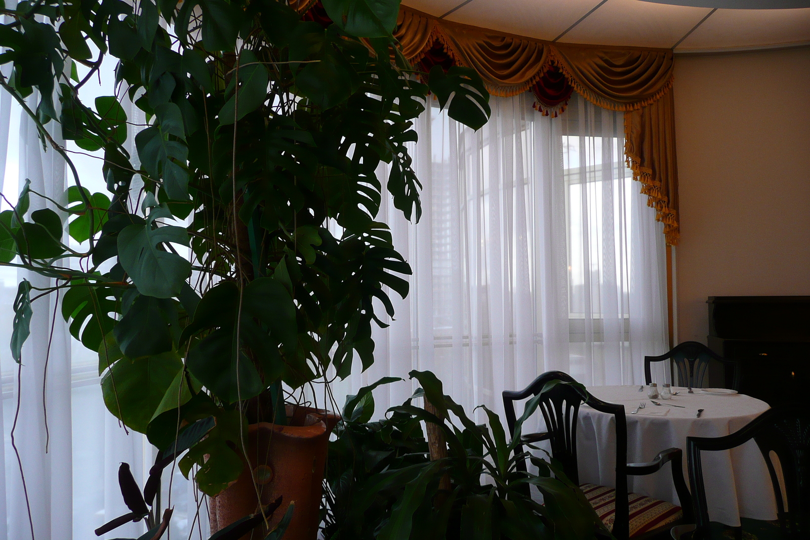 รูปถ่าย ยูเครน(Ukraine) เคียฟ(Kiev) โรงแรมเพรสซิเดนต์(President Hotel) 2007-11 45