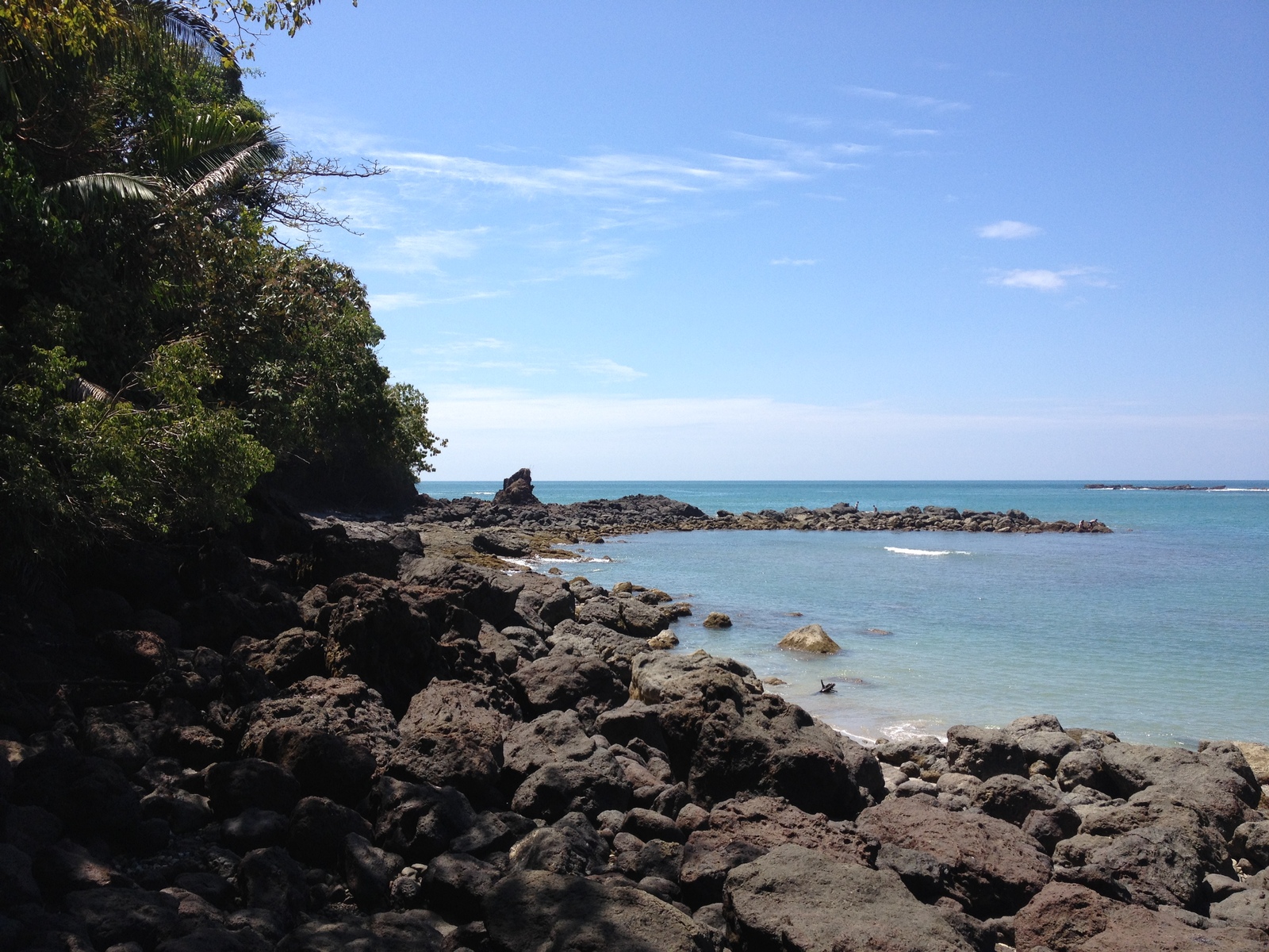 รูปถ่าย คอสตาริกา(Costa Rica) มานวยล์อันโตนีโอ(Manuel Antonio) 2015-03 309