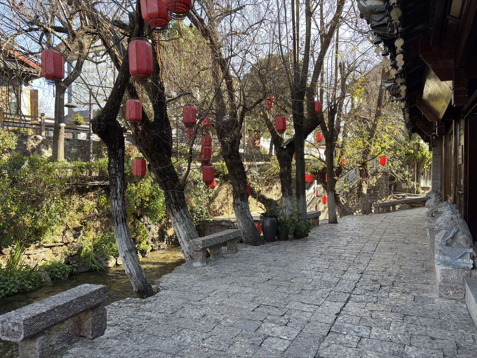 รูปถ่าย จีน(China) ลี่เจียง(Lijiang) 2026-01 696