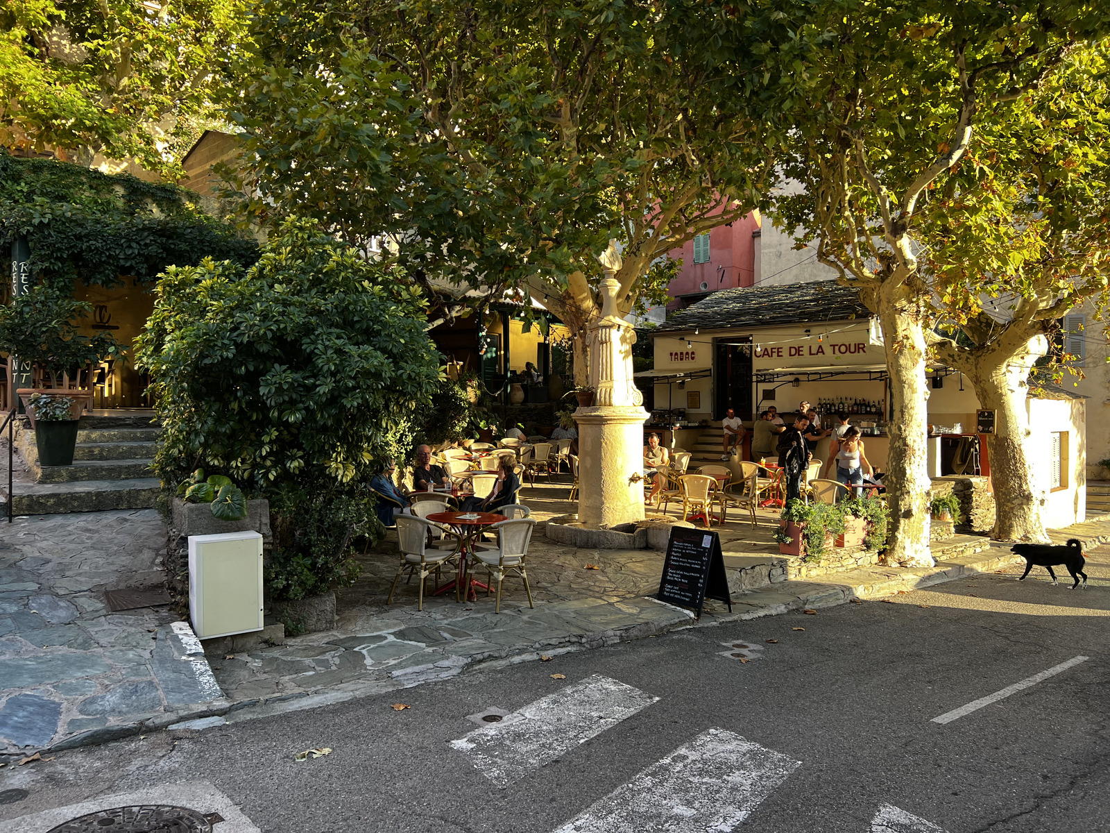 รูปถ่าย ฝรั่งเศส(France) คอร์สิคา(Corsica) นอนซา(Nonza) 2023-10 20