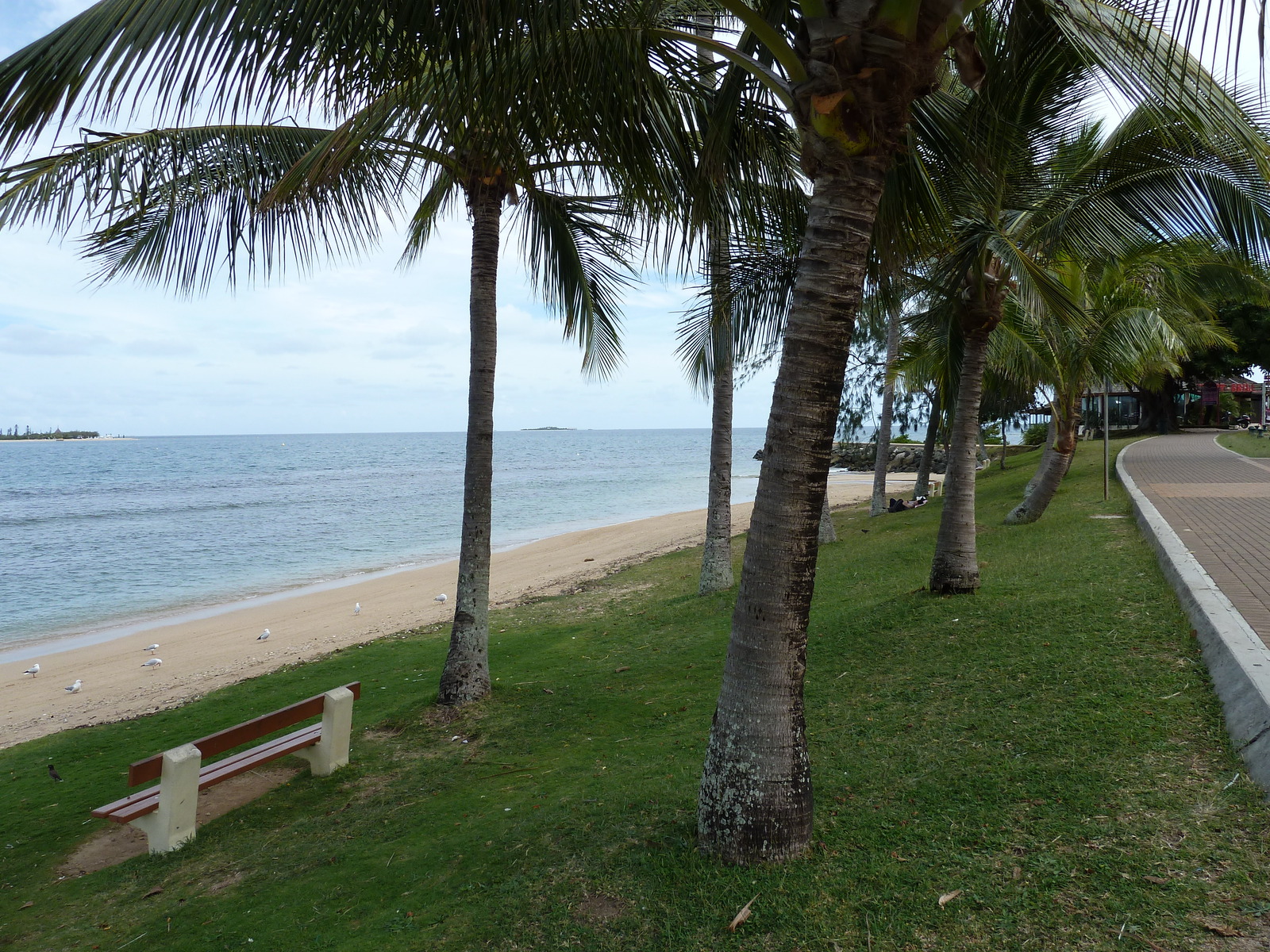 รูปถ่าย นิวแคลิโดเนีย(New Caledonia) นูเมอา(Noumea) อ่าวอ็องส์วาตา(Anse Vata) 2010-05 42
