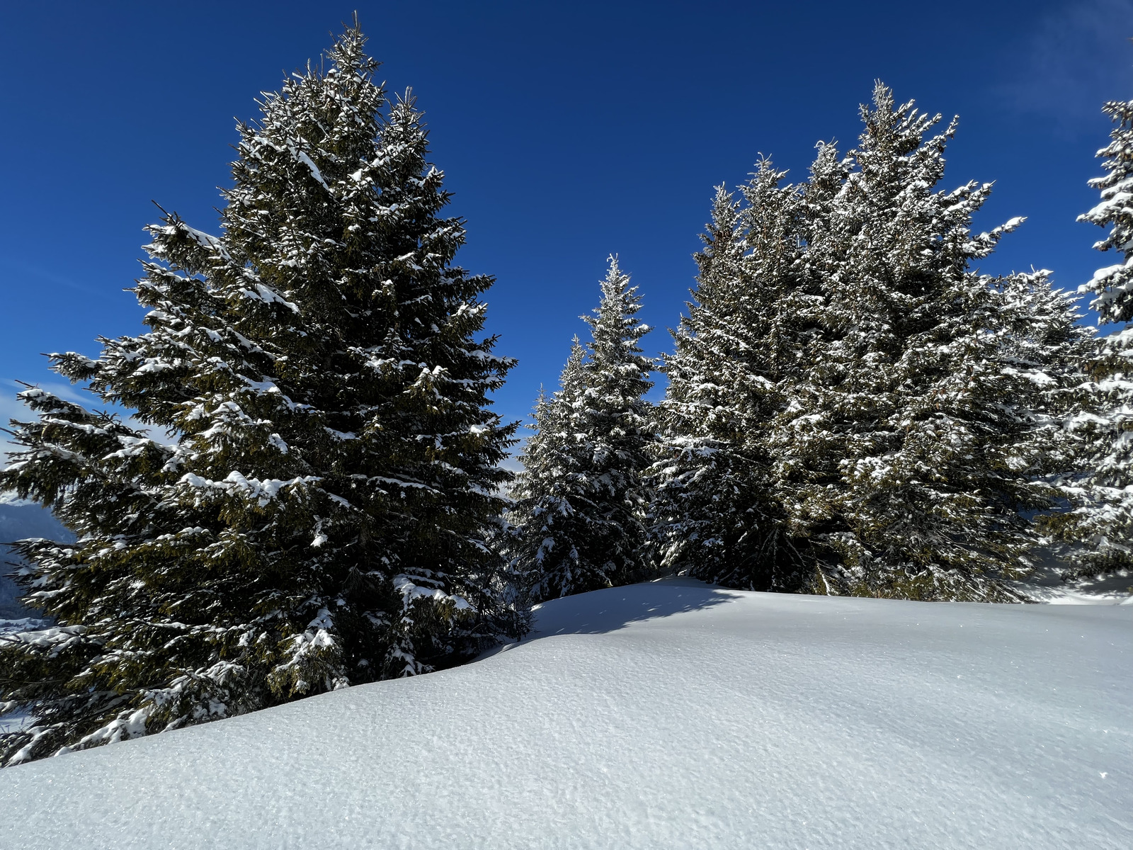 รูปถ่าย ฝรั่งเศส(France) เมแฌฟว์(Megeve) 2022-02 68