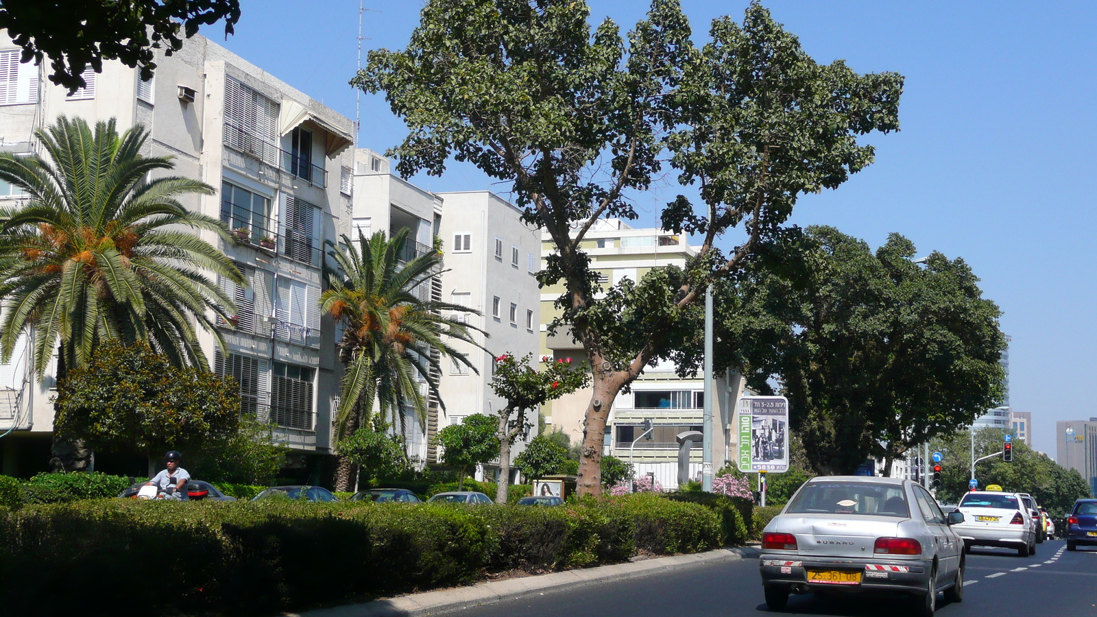 รูปถ่าย อิสราเอล(Israel) เทลอาวีฟ(Tel Aviv) ถนนจาบอตินสกี(Jabotinsky Street) 2007-06 15