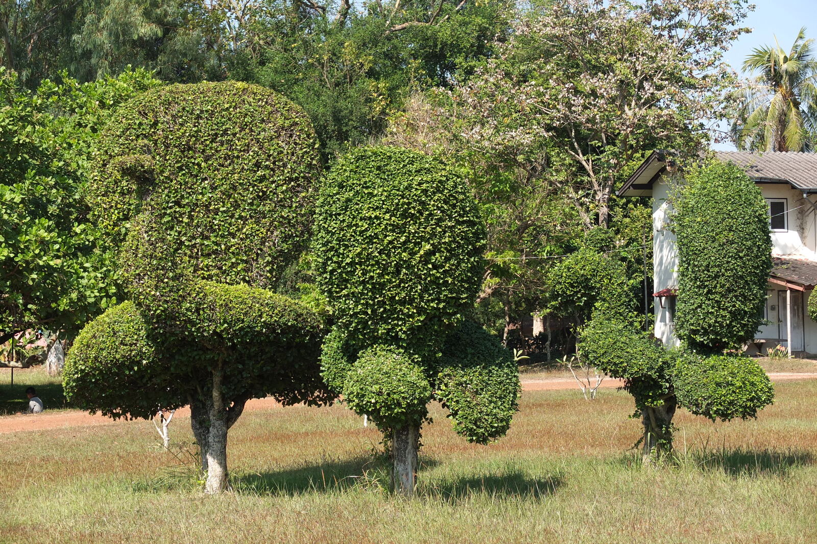 รูปถ่าย ไทย(Thailand) แม่น้ำโขง(Mekong river) 2012-12 130