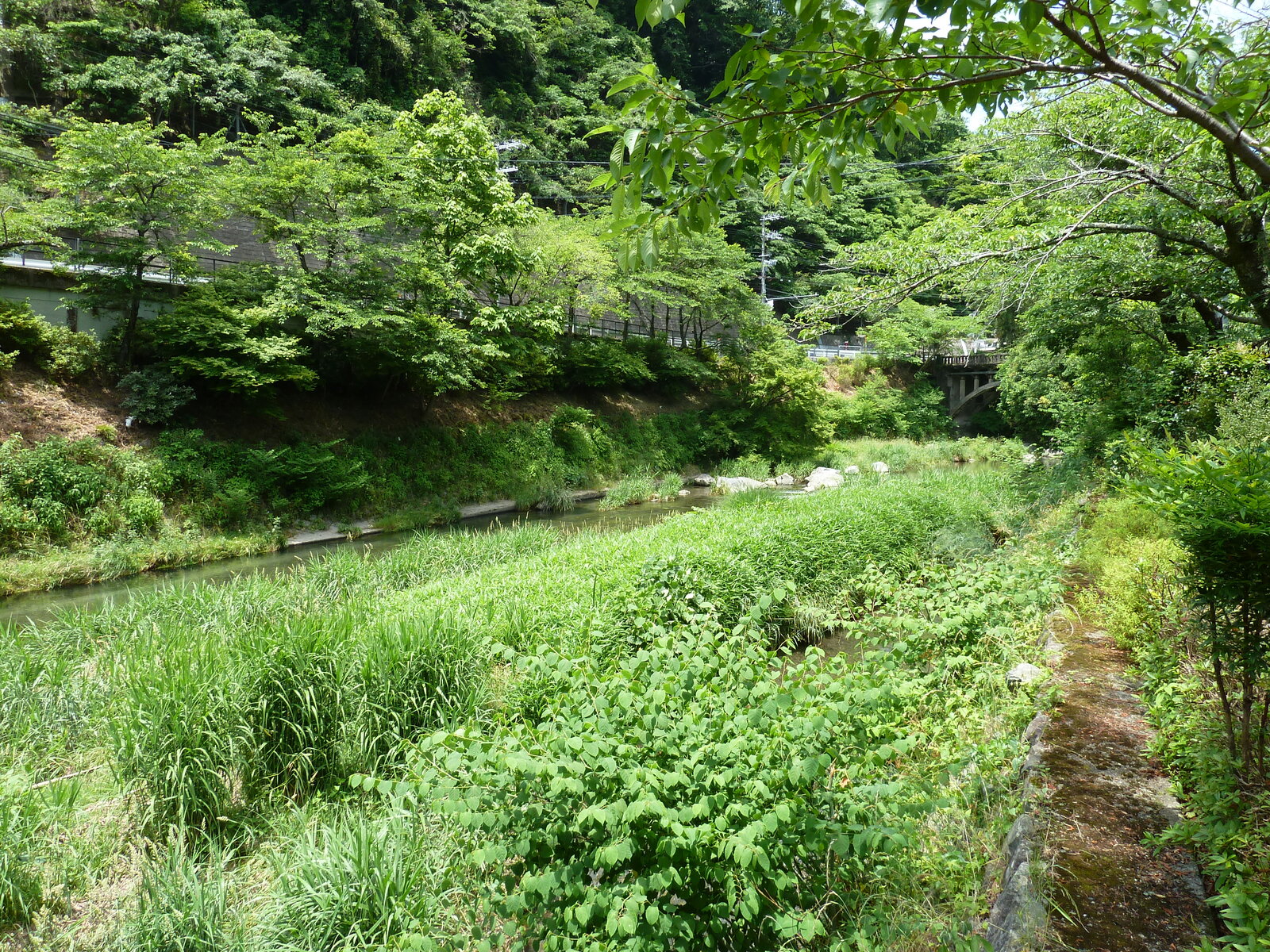 รูปถ่าย ญี่ปุ่น(Japan) เกียวโต(Kyoto) สถานียาเซะฮิเอซังงุจิ(Yase Hieizanguchi Station) 2010-06 17