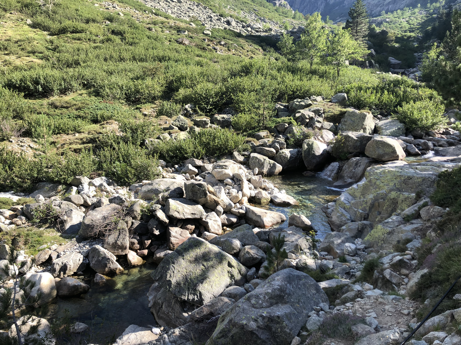 รูปถ่าย ฝรั่งเศส(France) คอร์สิคา(Corsica) หุบเขาลาเรสโตนีกา(La Restonica) 2020-07 130