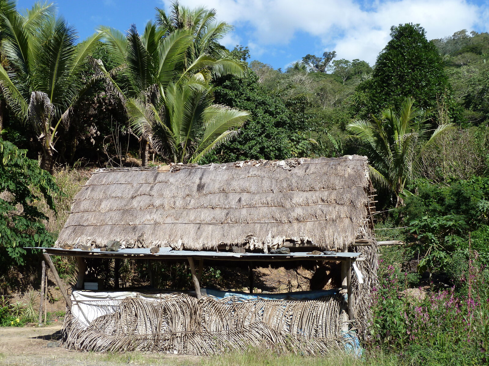 รูปถ่าย นิวแคลิโดเนีย(New Caledonia) ถนนจากกานาลาไปลาฟัว(Canala to La Foa road) 2010-05 47