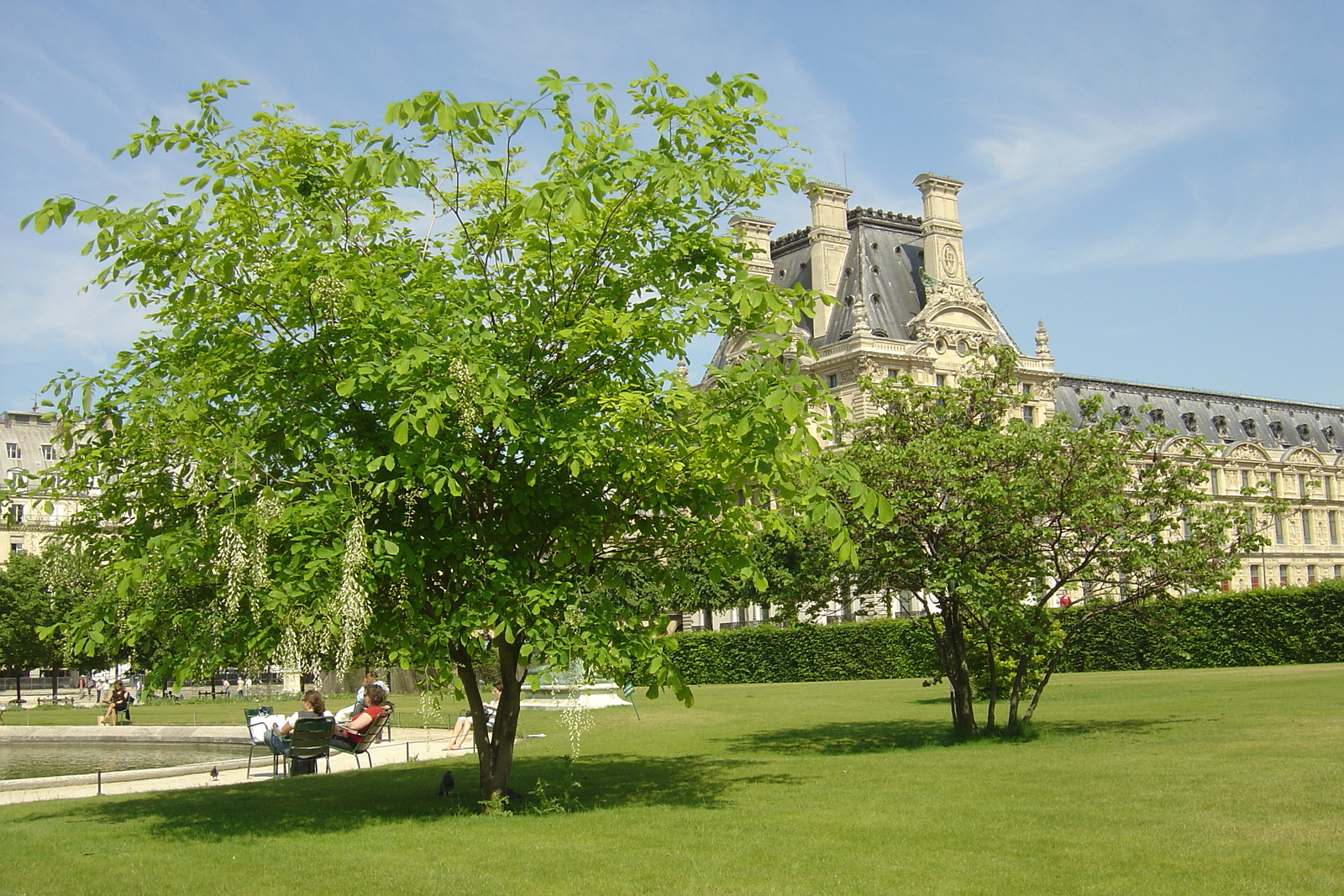 รูปถ่าย ฝรั่งเศส(France) ปารีส(Paris) สวนตุยเลอรี(Garden of Tuileries) 2007-05 278