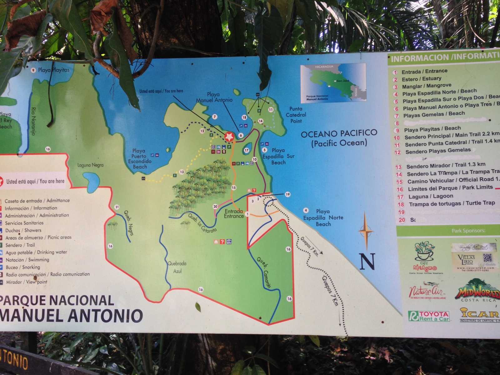 รูปถ่าย คอสตาริกา(Costa Rica) มานวยล์อันโตนีโอ(Manuel Antonio) 2015-03 353