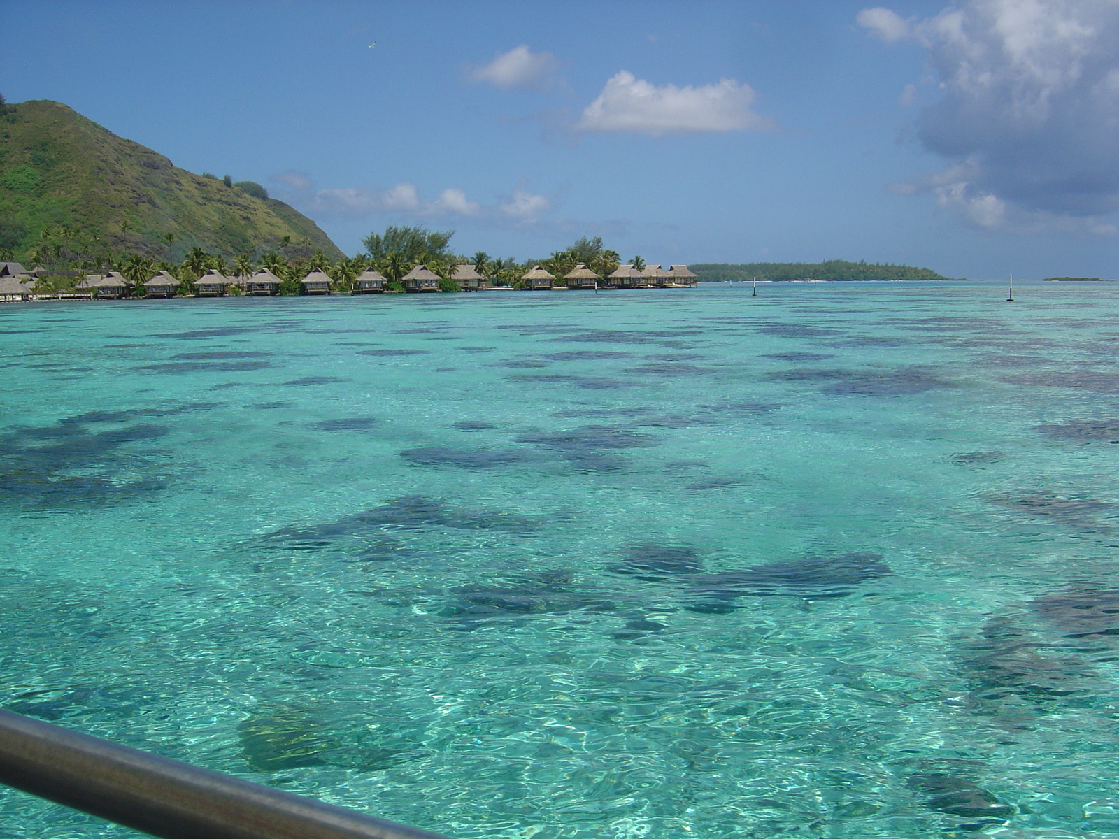 รูปถ่าย เฟรนช์โพลี่นีเซีย(Polynesia) มูเรีย(Moorea) 2006-04 65